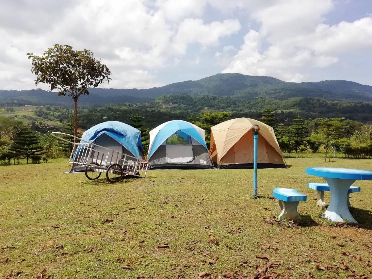 Tent (4 Adults) photo 3
