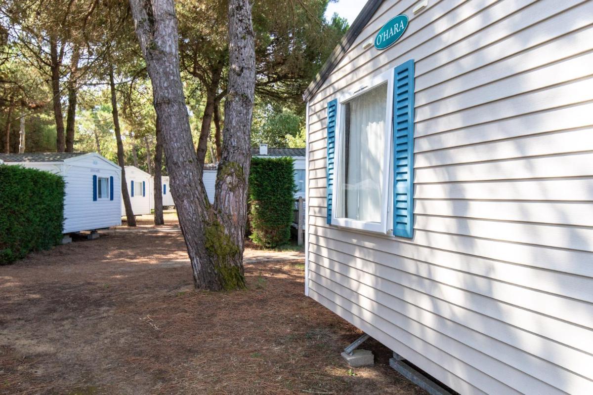 Mobile Home (8 persons) photo 3
