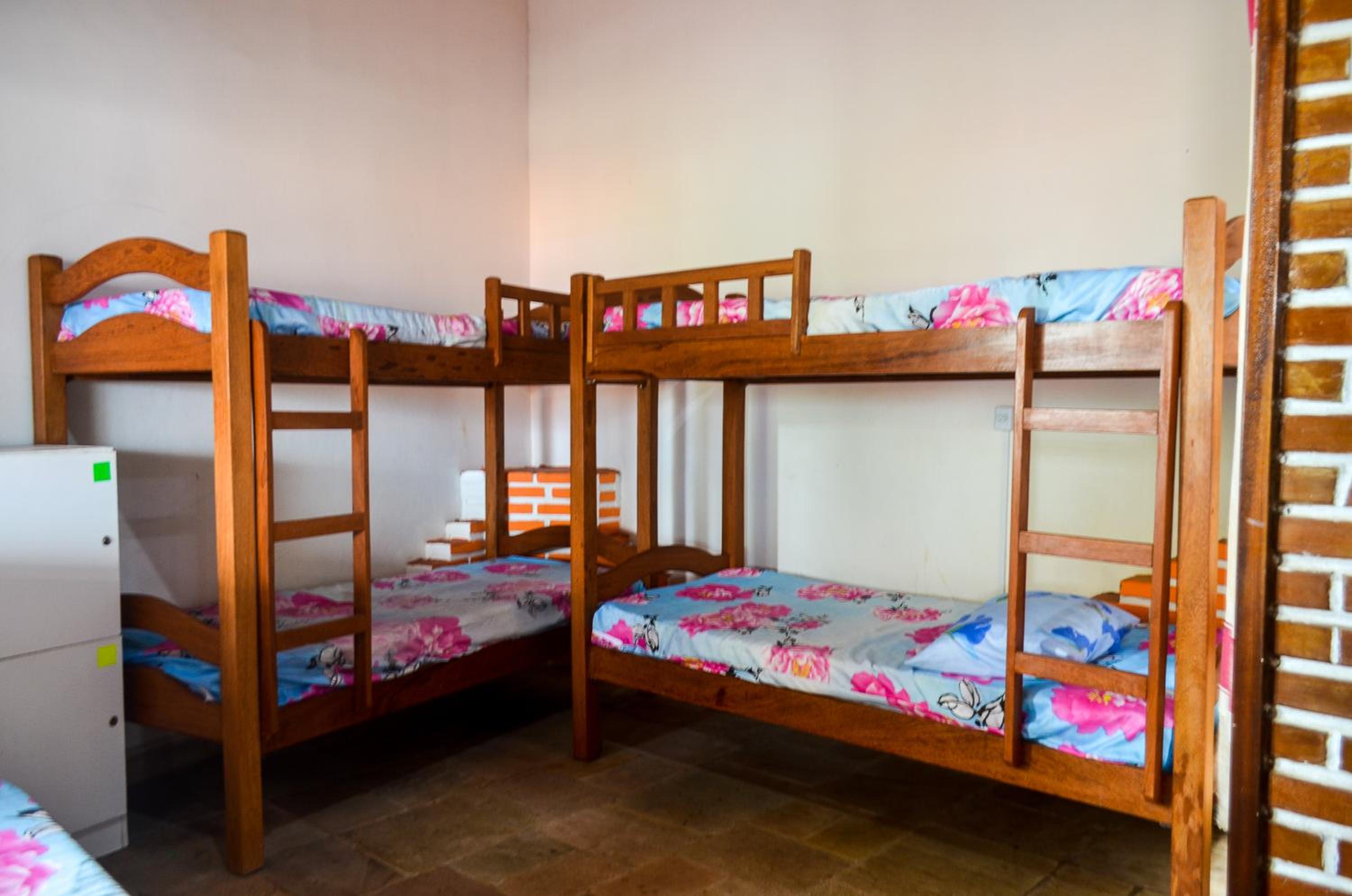 Bunk Bed in Mixed Dormitory Room photo 1