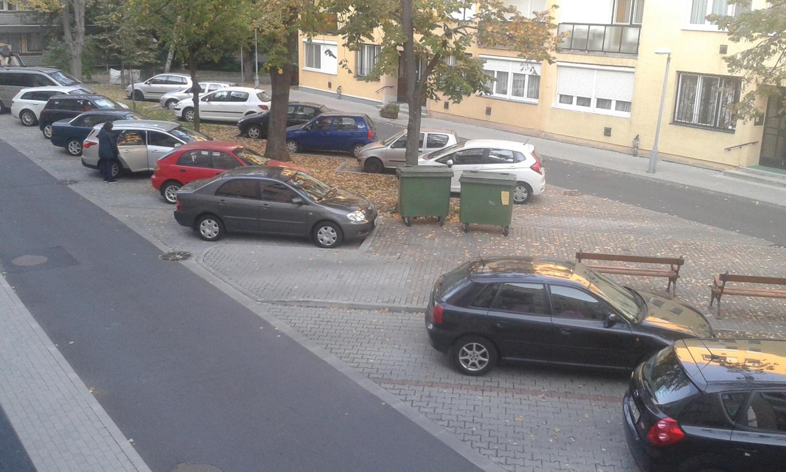 Apartment - Photo 3