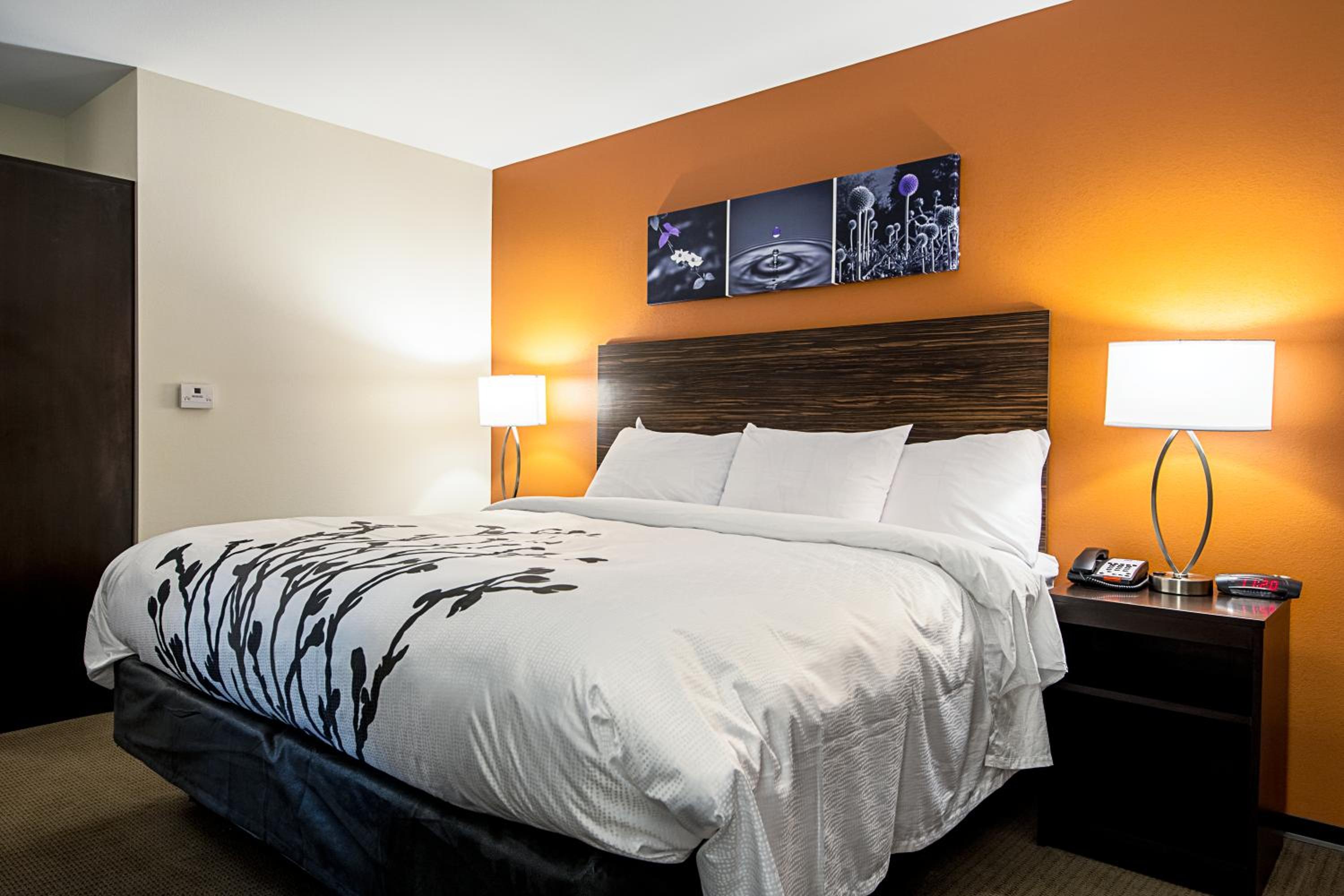 King Room - Accessible/Non-Smoking photo 1