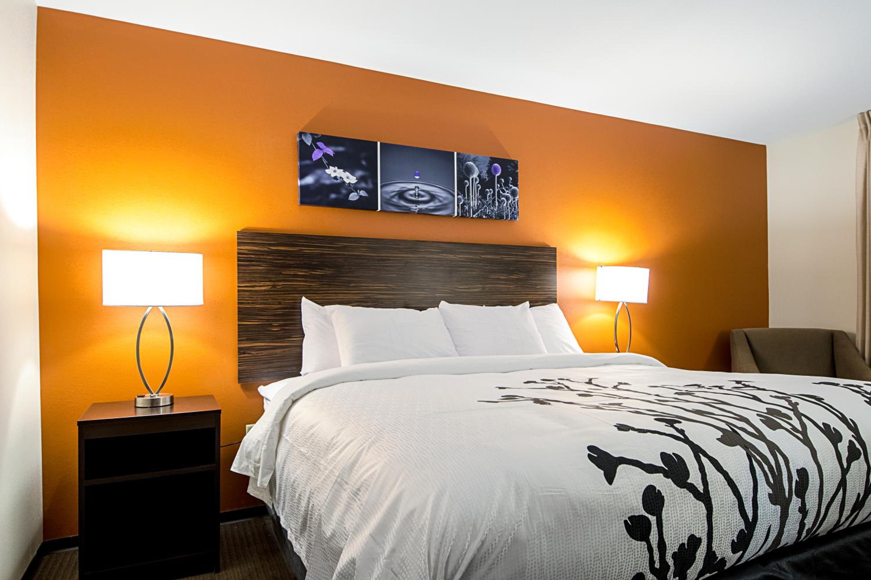 King Room - Accessible/Non-Smoking photo 2