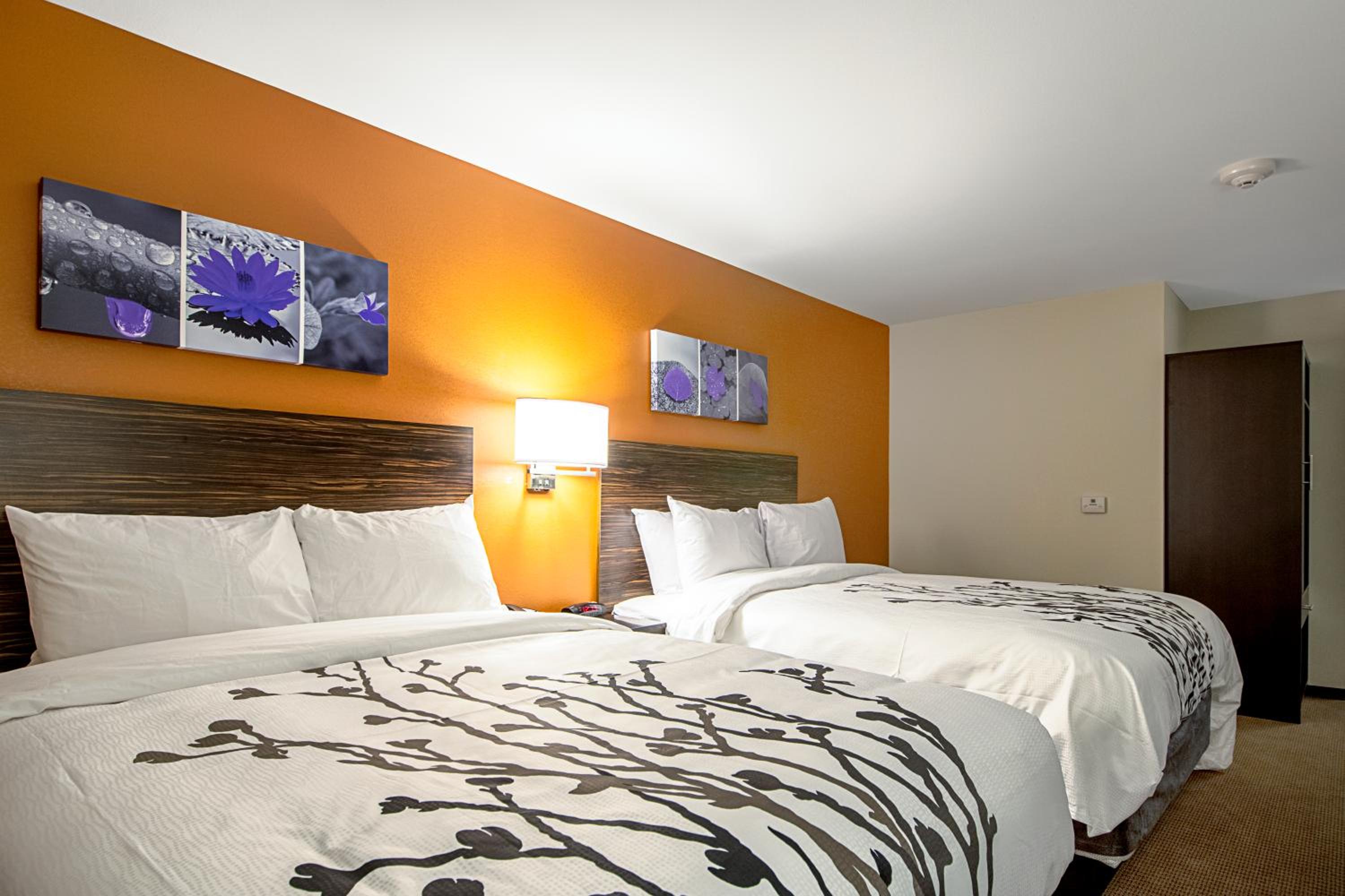 Queen Room with Two Queen Beds - Accessible/Non-Smoking  photo 3