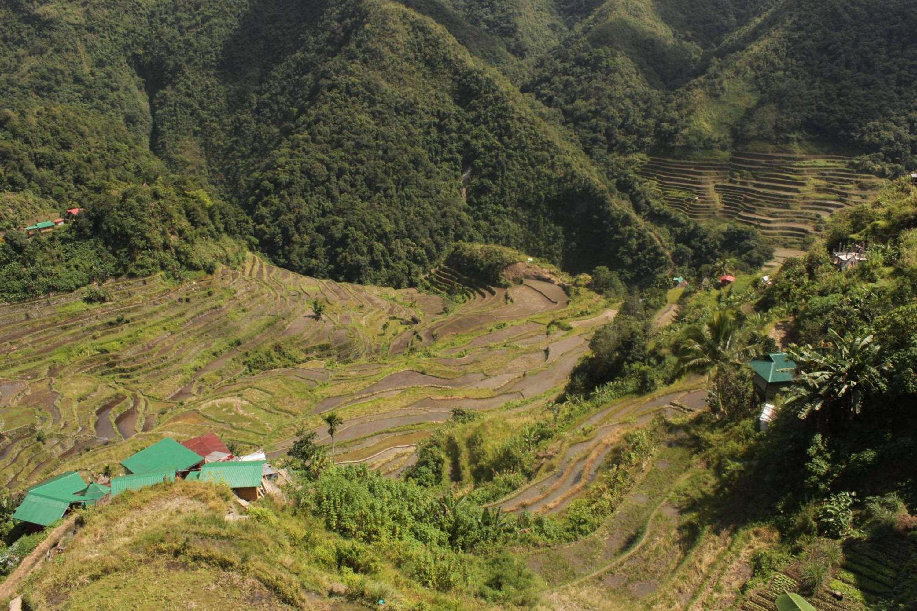 Nipa Hut photo 2