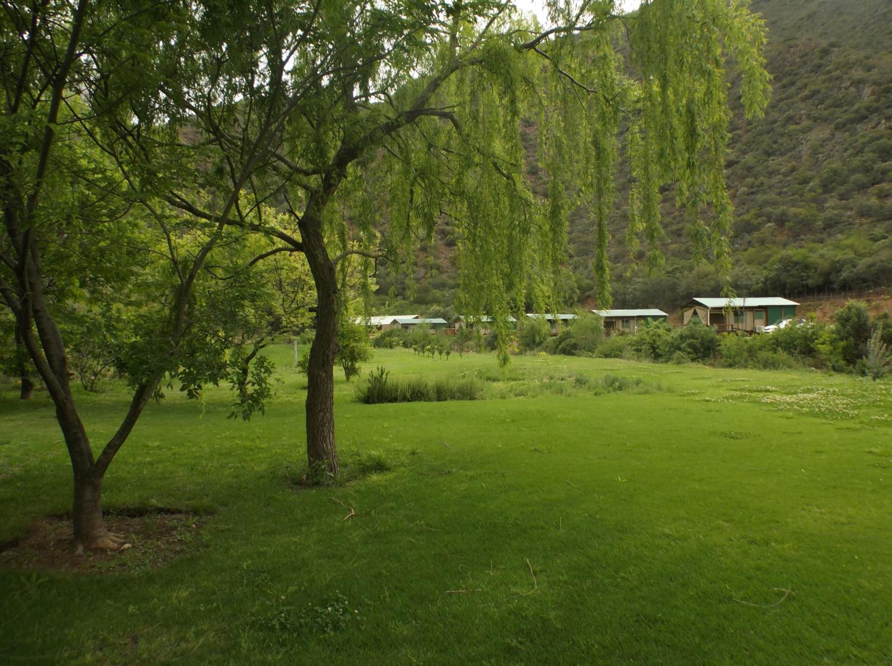 Luxury Waterfront Tent with Riverview - Photo 11