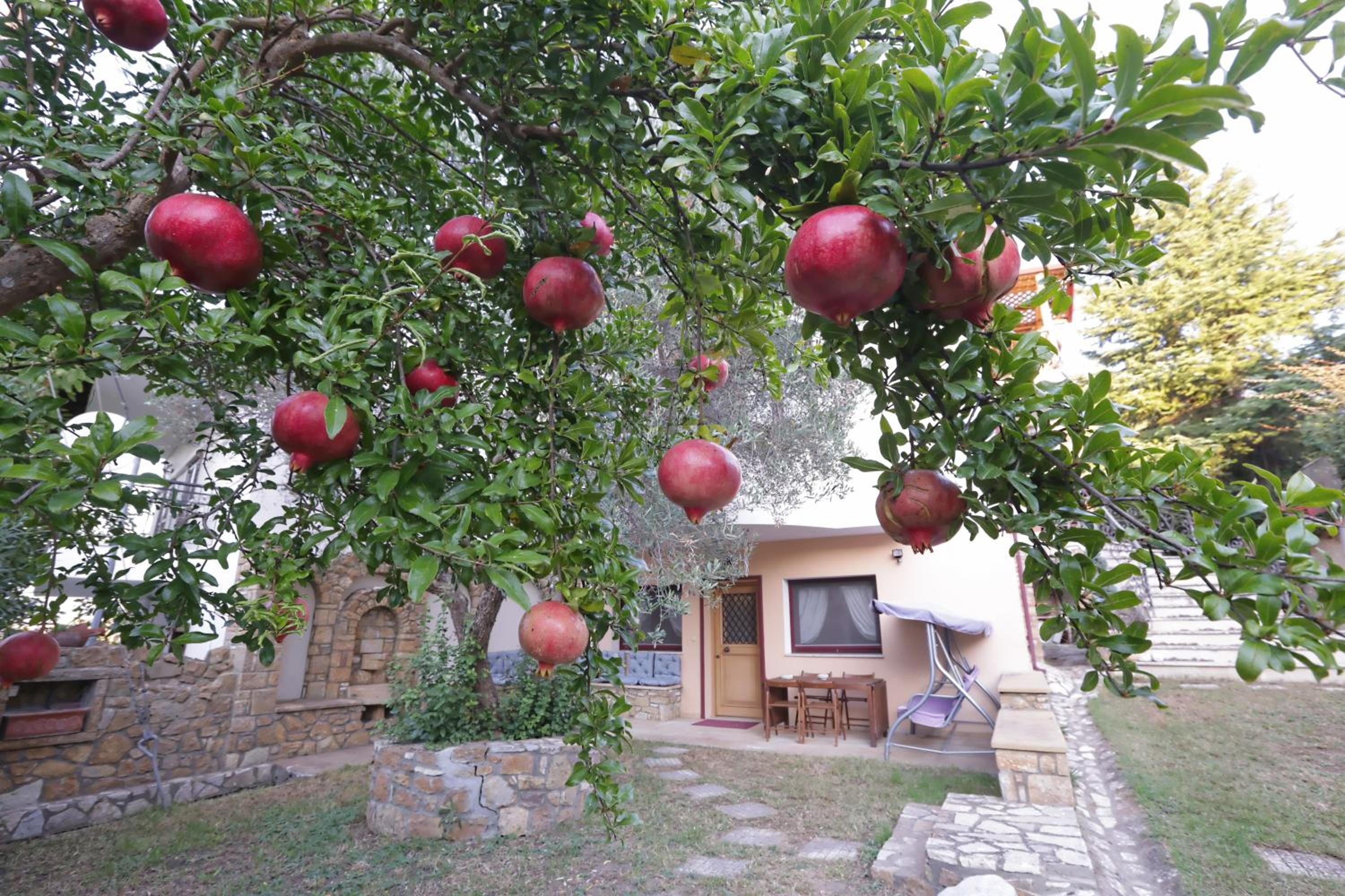 Apartment - Ground Floor - Photo 3
