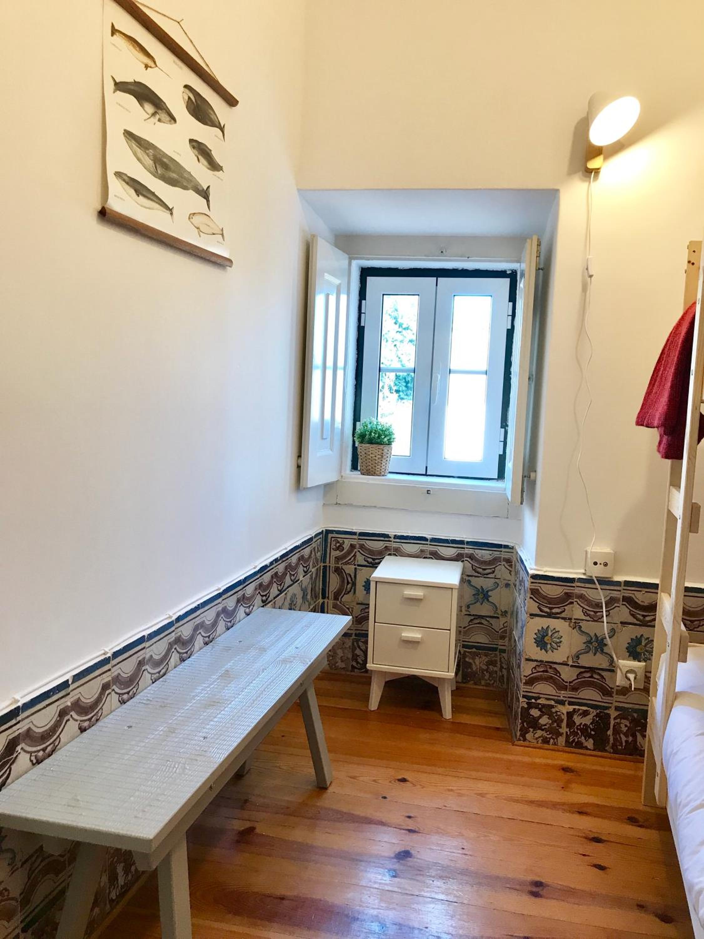 Apartment with Terrace photo 3