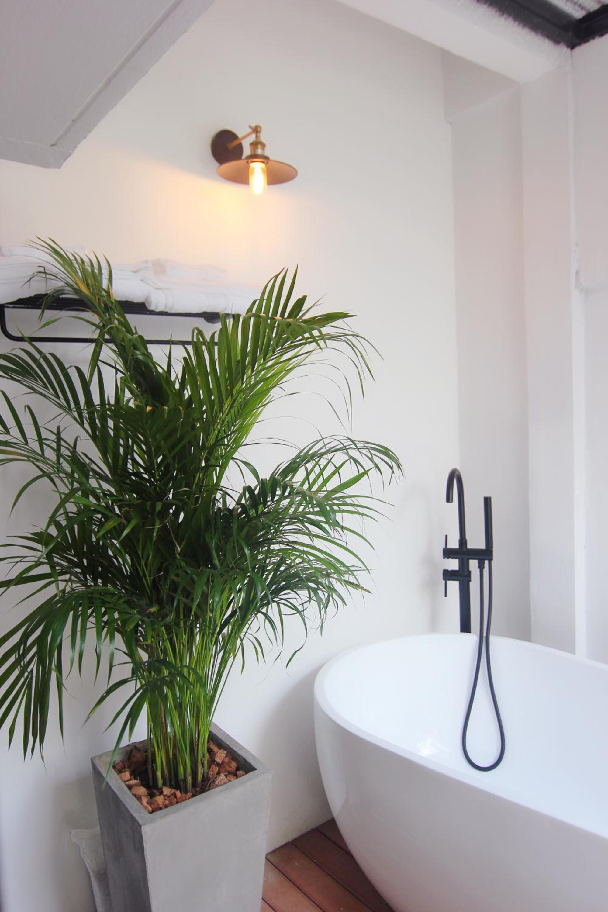 King Room with Garden View photo 2