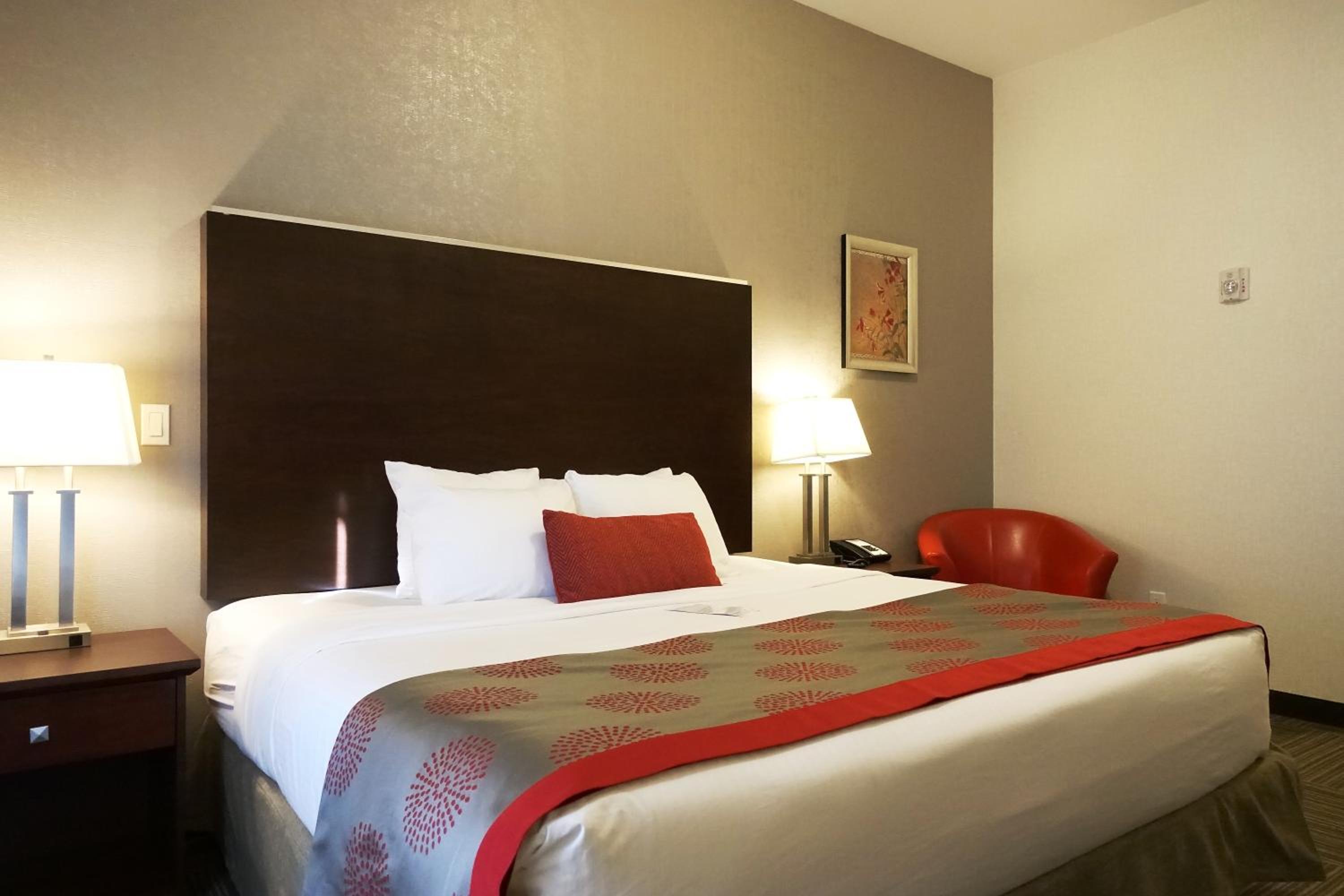 King Room - Pet Friendly/Non-Smoking
