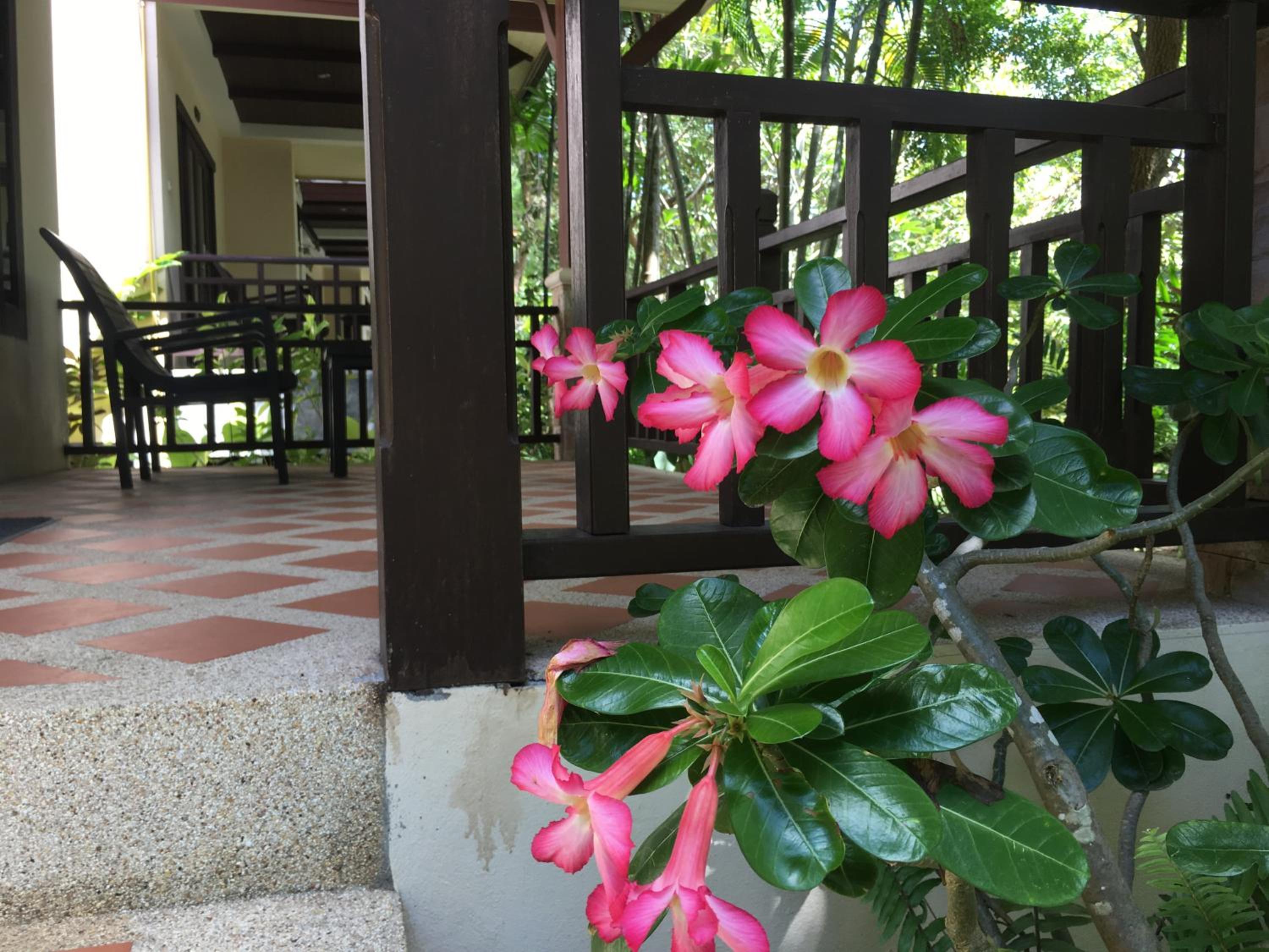 Deluxe Bungalow with Garden View photo 3