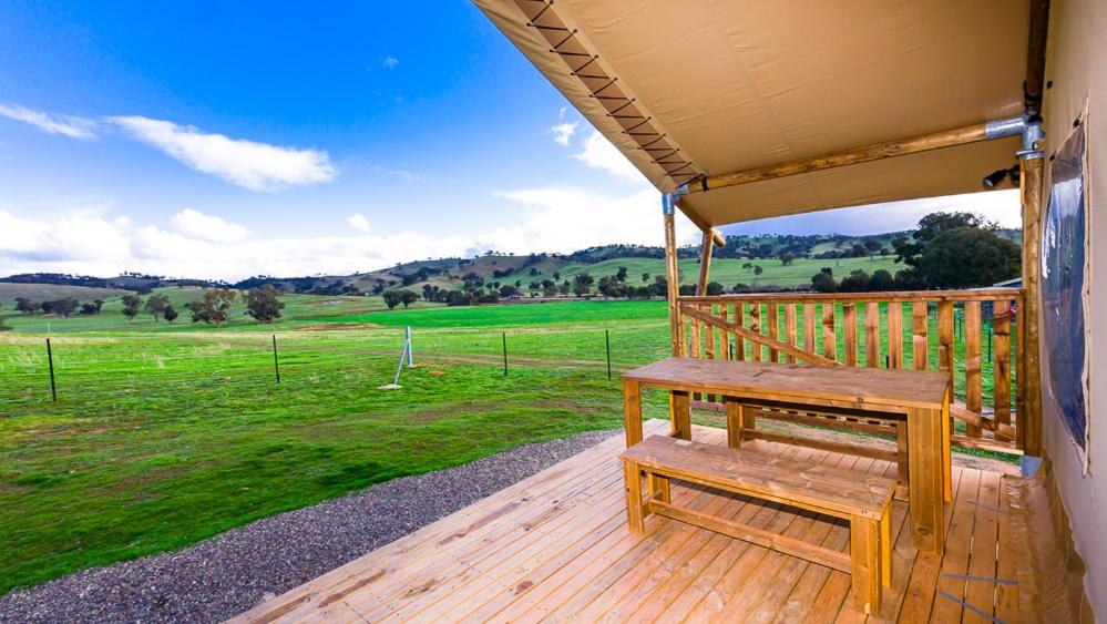 Glamping Safari Tent (Lion) photo 2