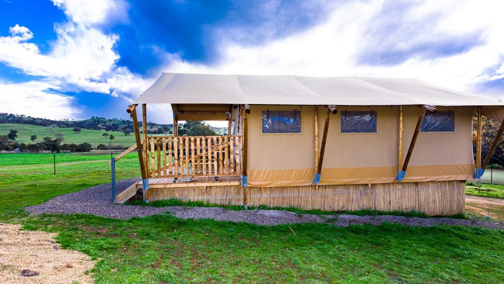 Glamping Safari Tent (Cub) photo 2
