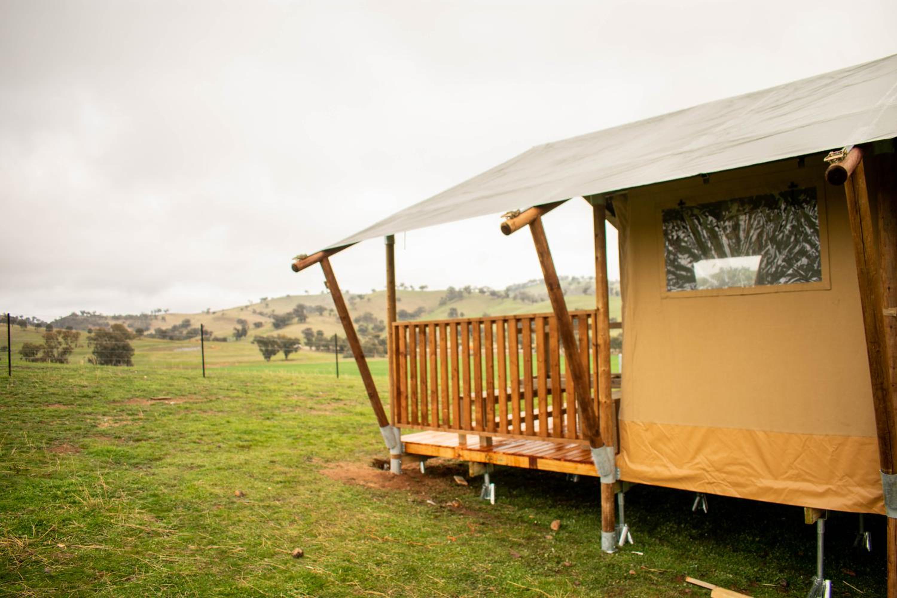 Glamping Safari Tent (Lion) photo 3