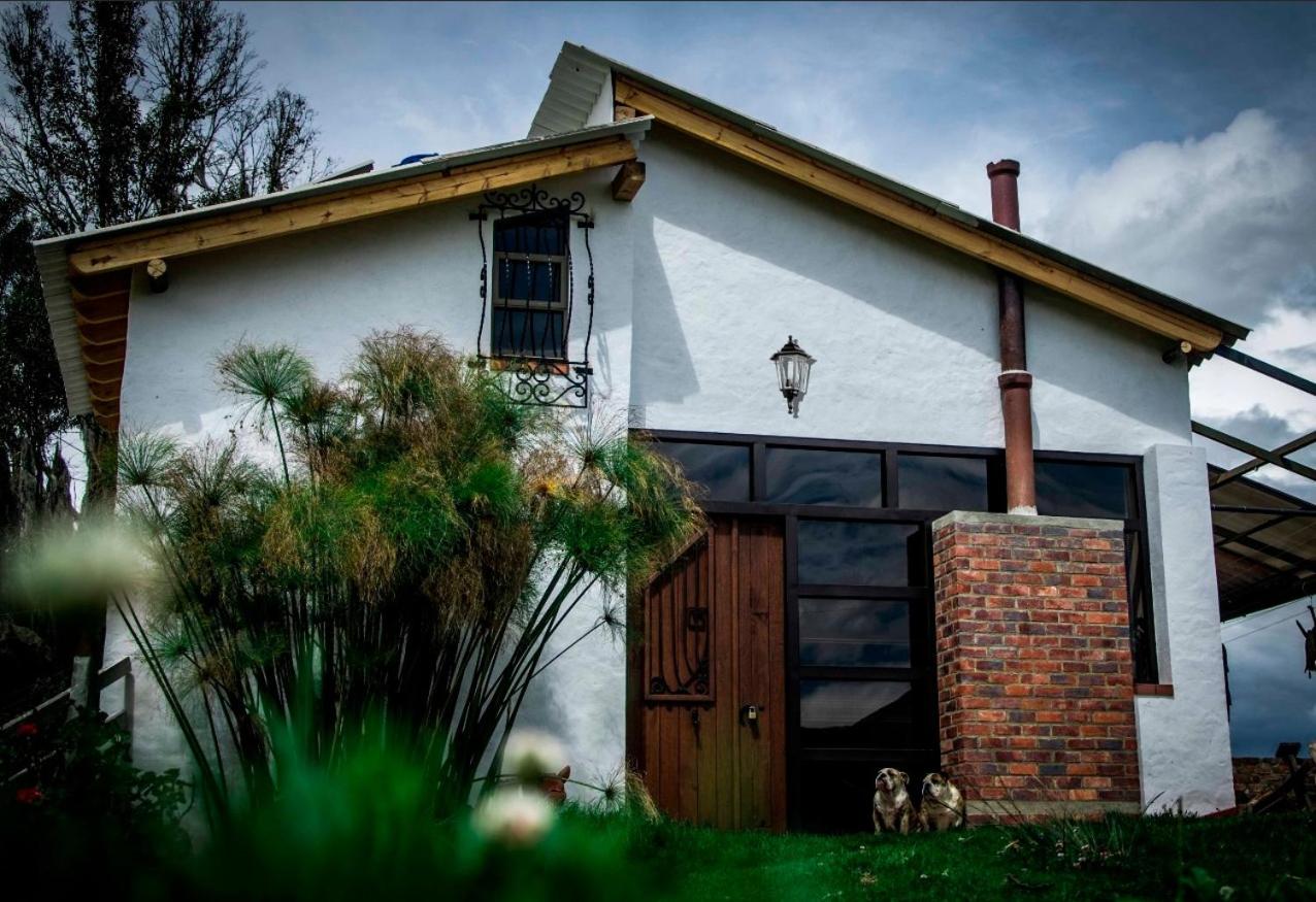 Three-Bedroom House photo 2