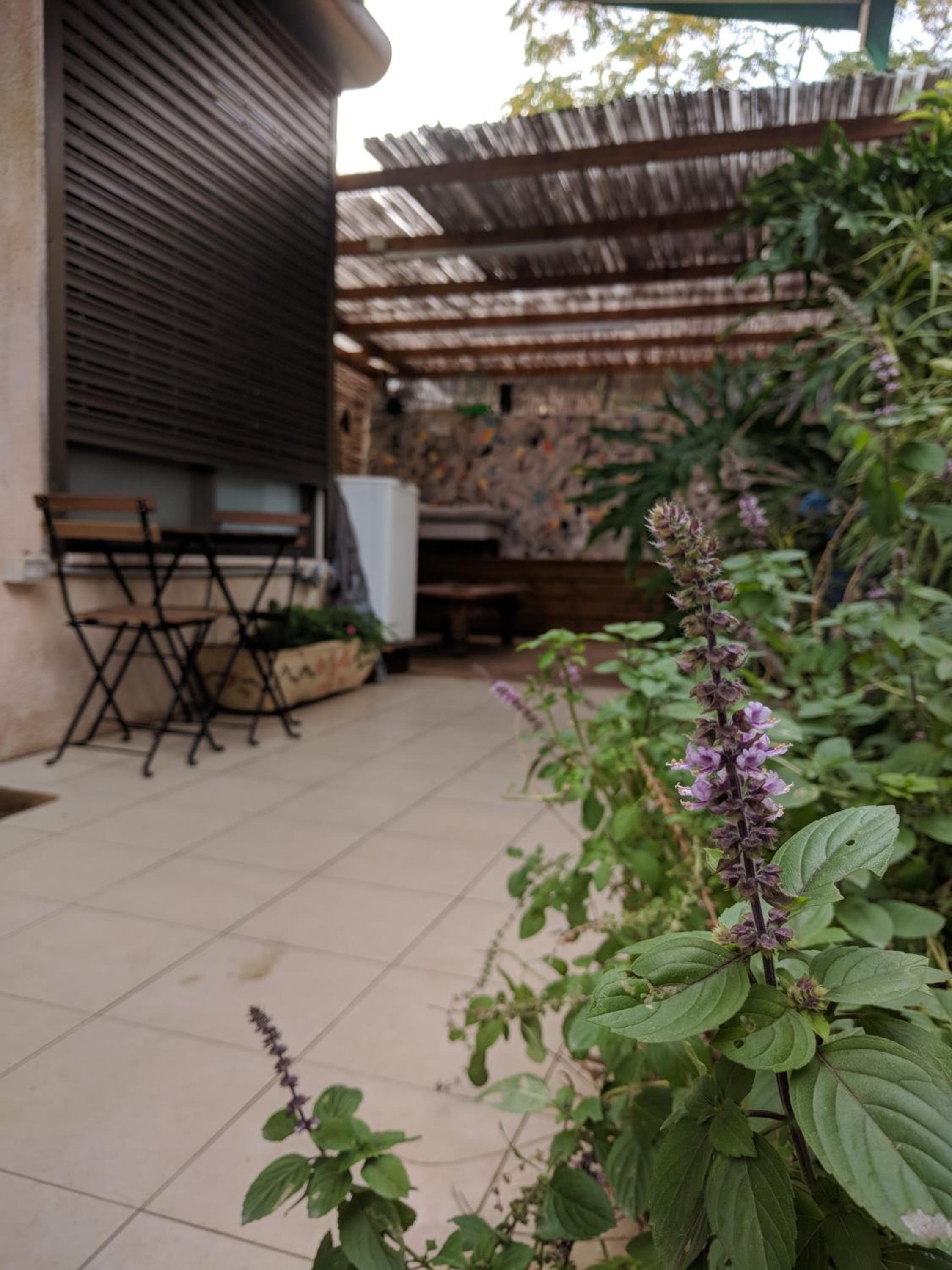 Apartment - Photo 8