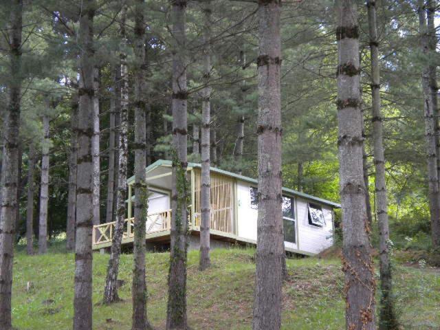 Two-Bedroom Chalet photo 3