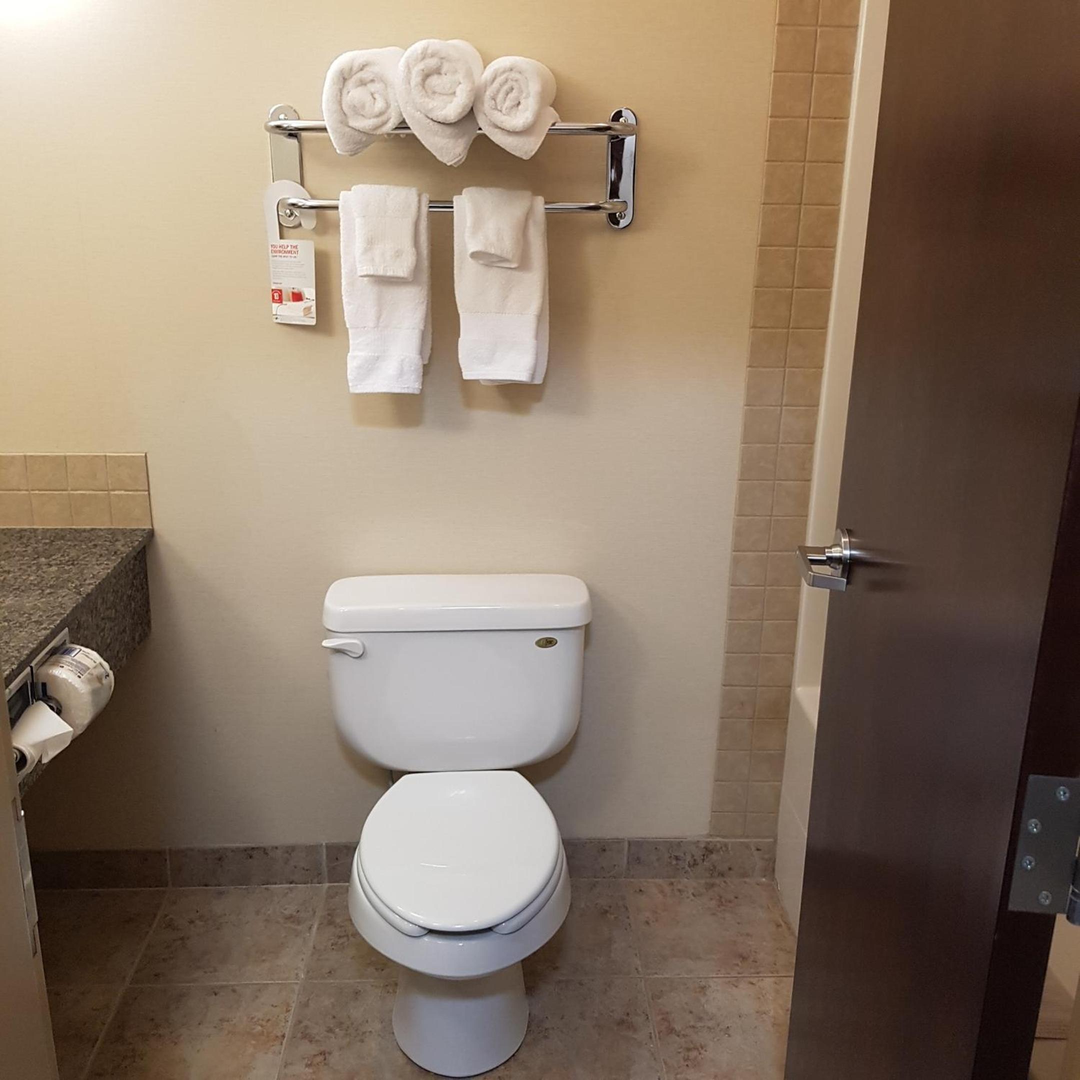 Deluxe King Suite photo 3