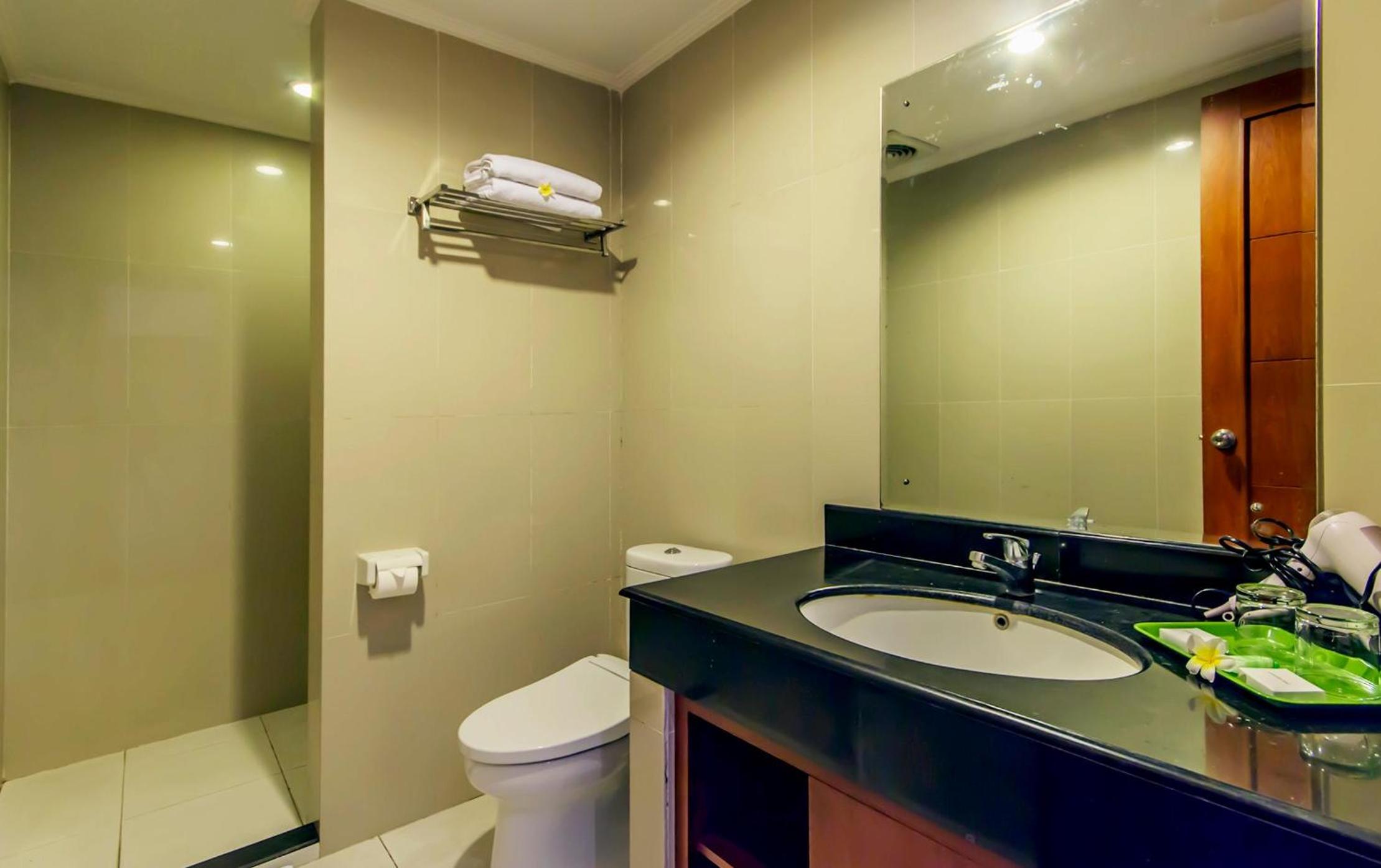 Superior Double or Twin Room photo 2