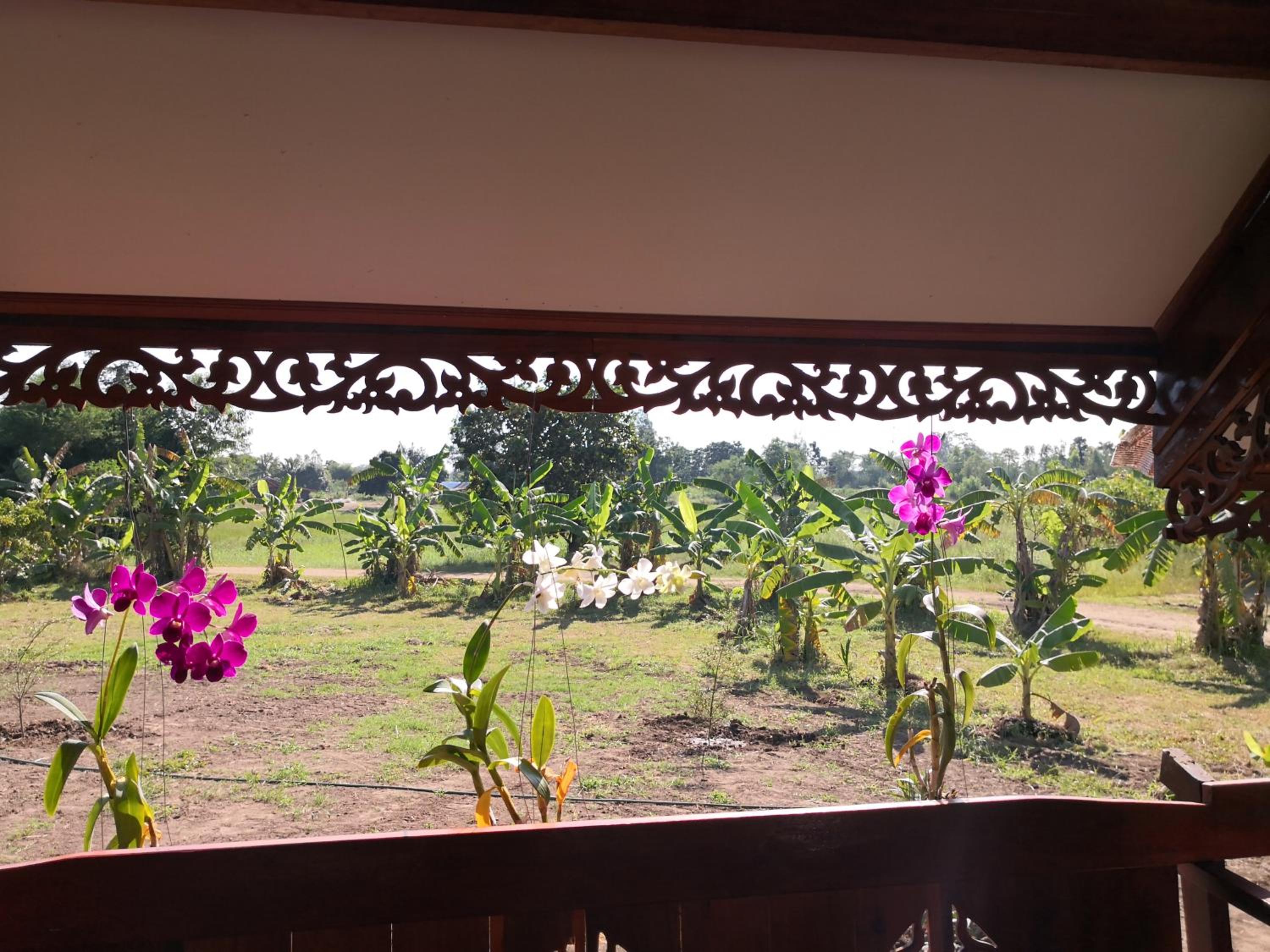 Bungalow with Patio photo 3