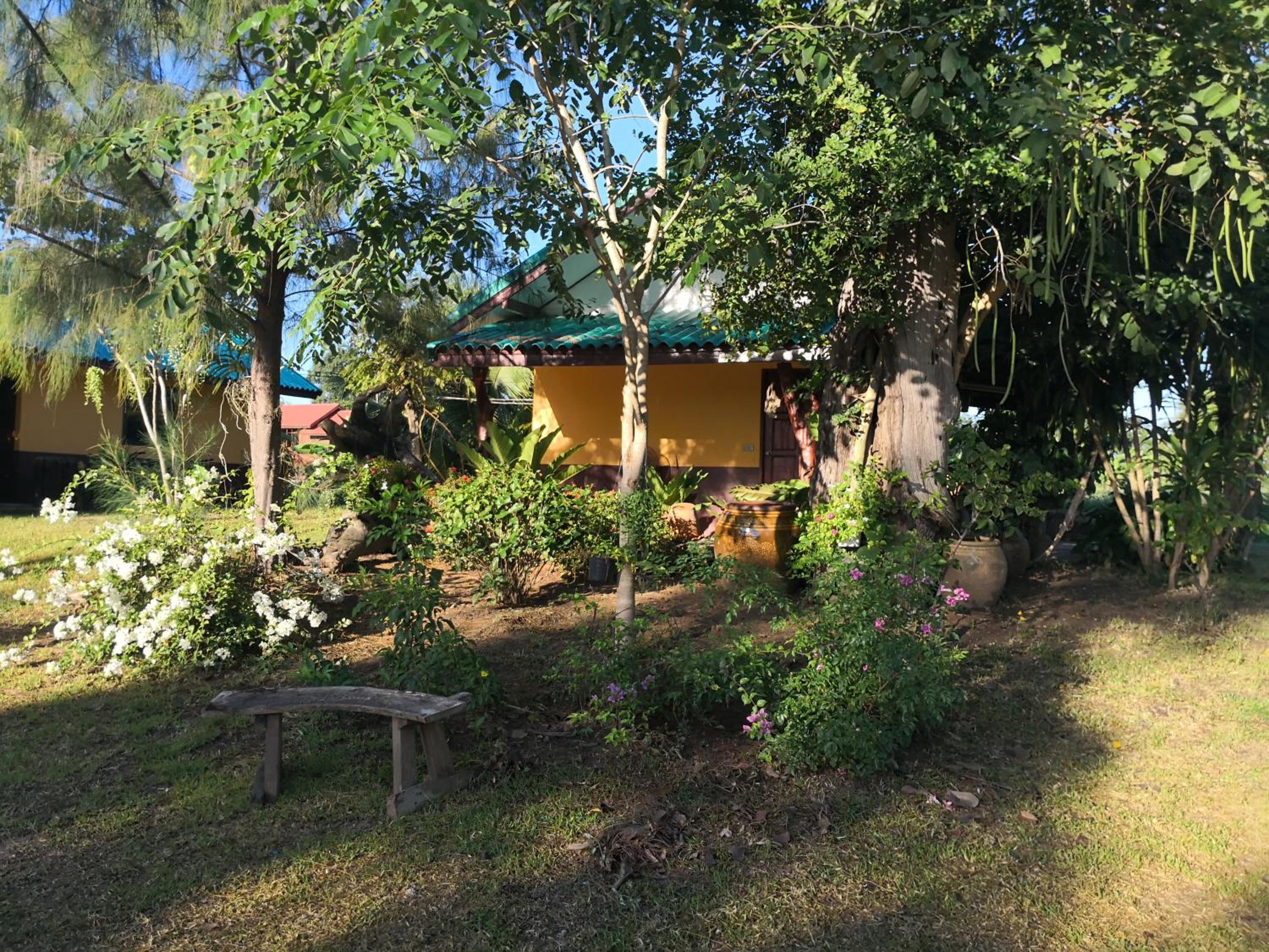 Double Room with Terrace photo 3