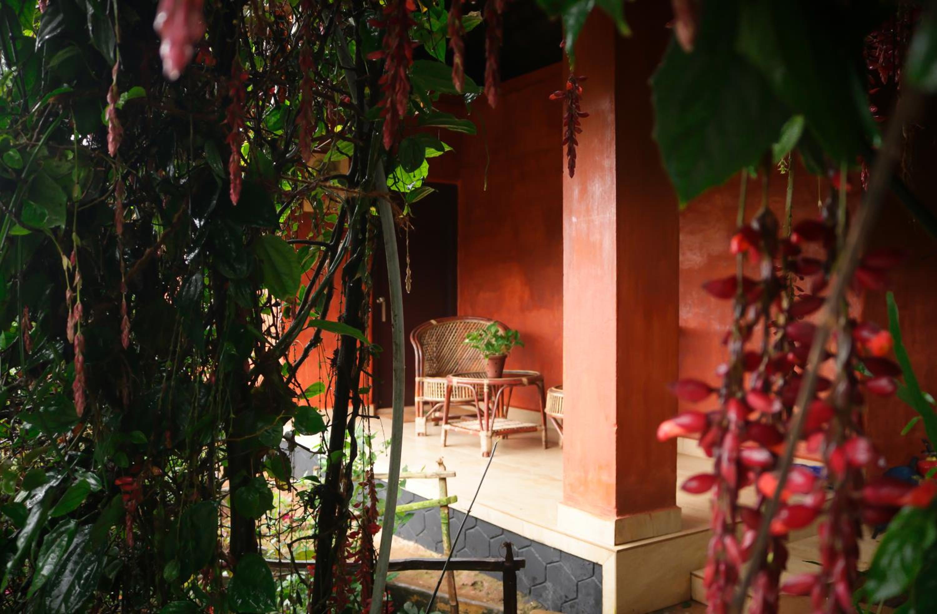 Ethnic Mud House photo 3