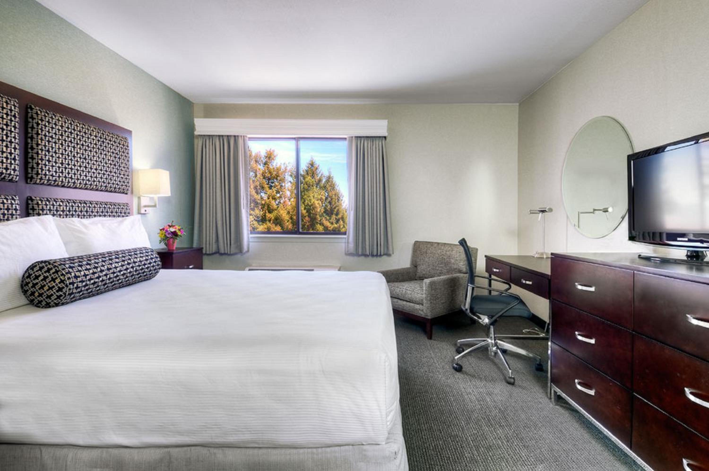 Queen Room - Photo 11