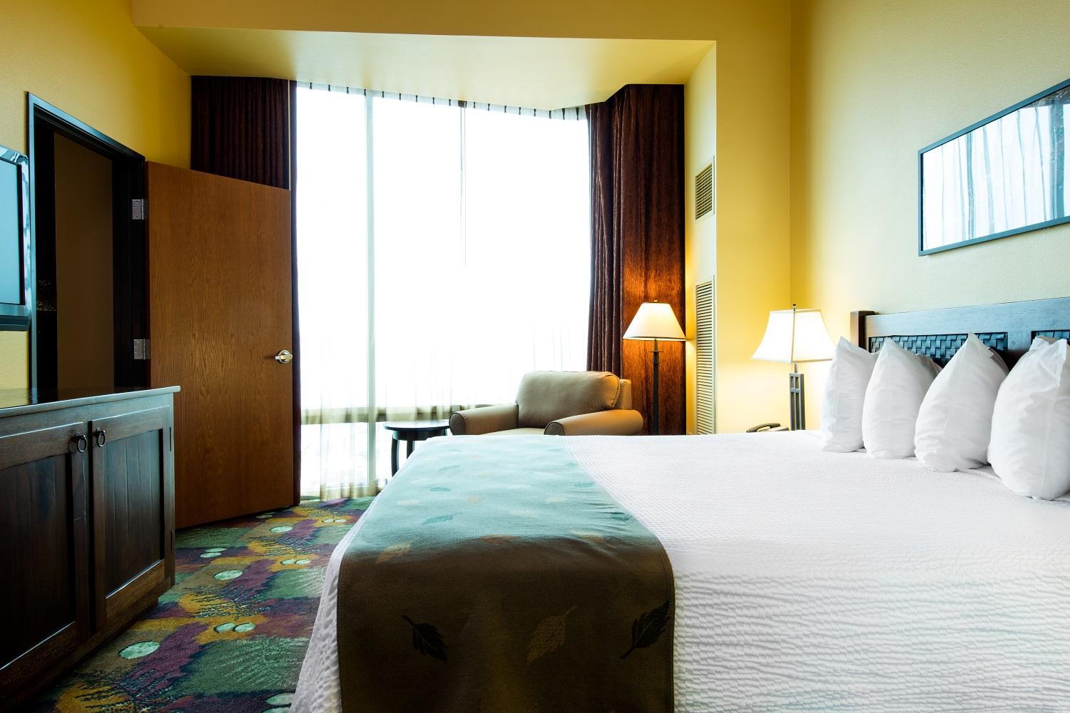 Superior Suite photo 3