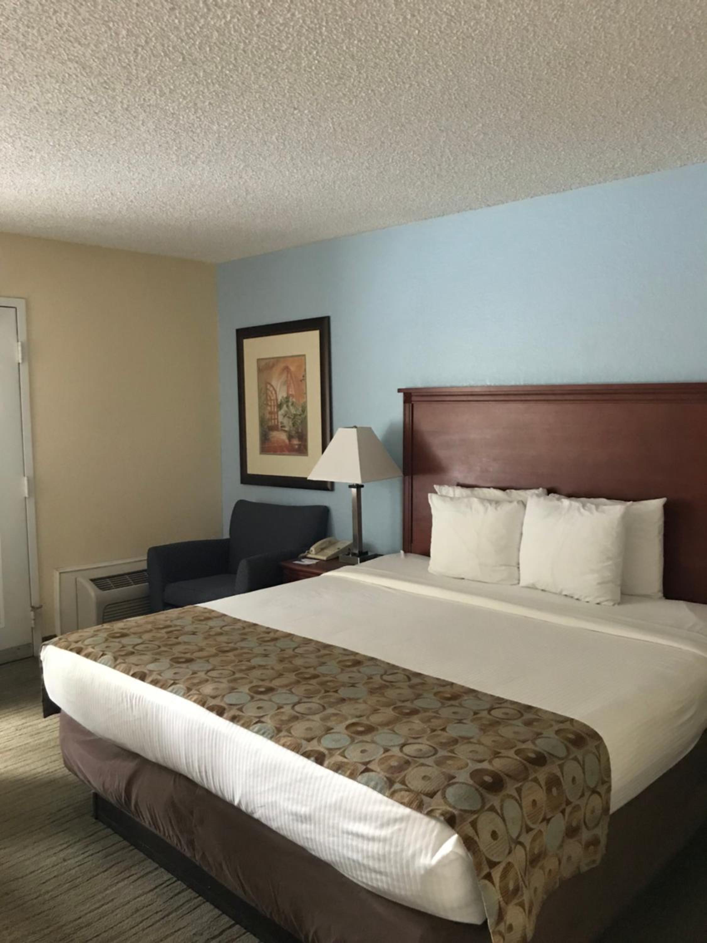 King Room - Non-Smoking - Photo 1