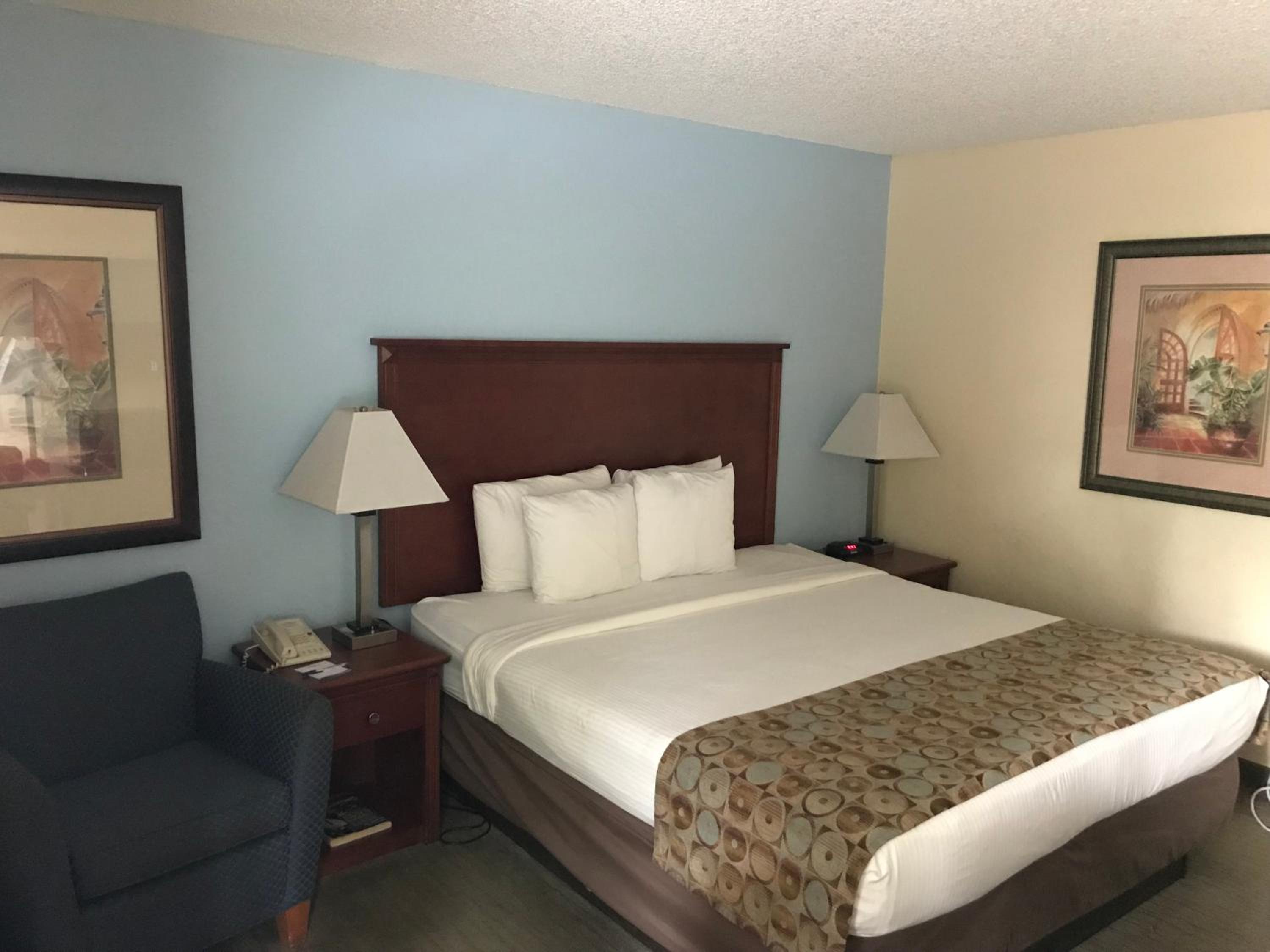 King Room - Non-Smoking - Photo 4