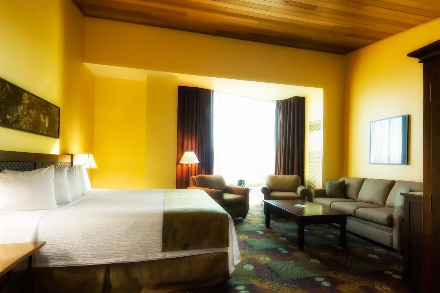 Superior King Room photo 3