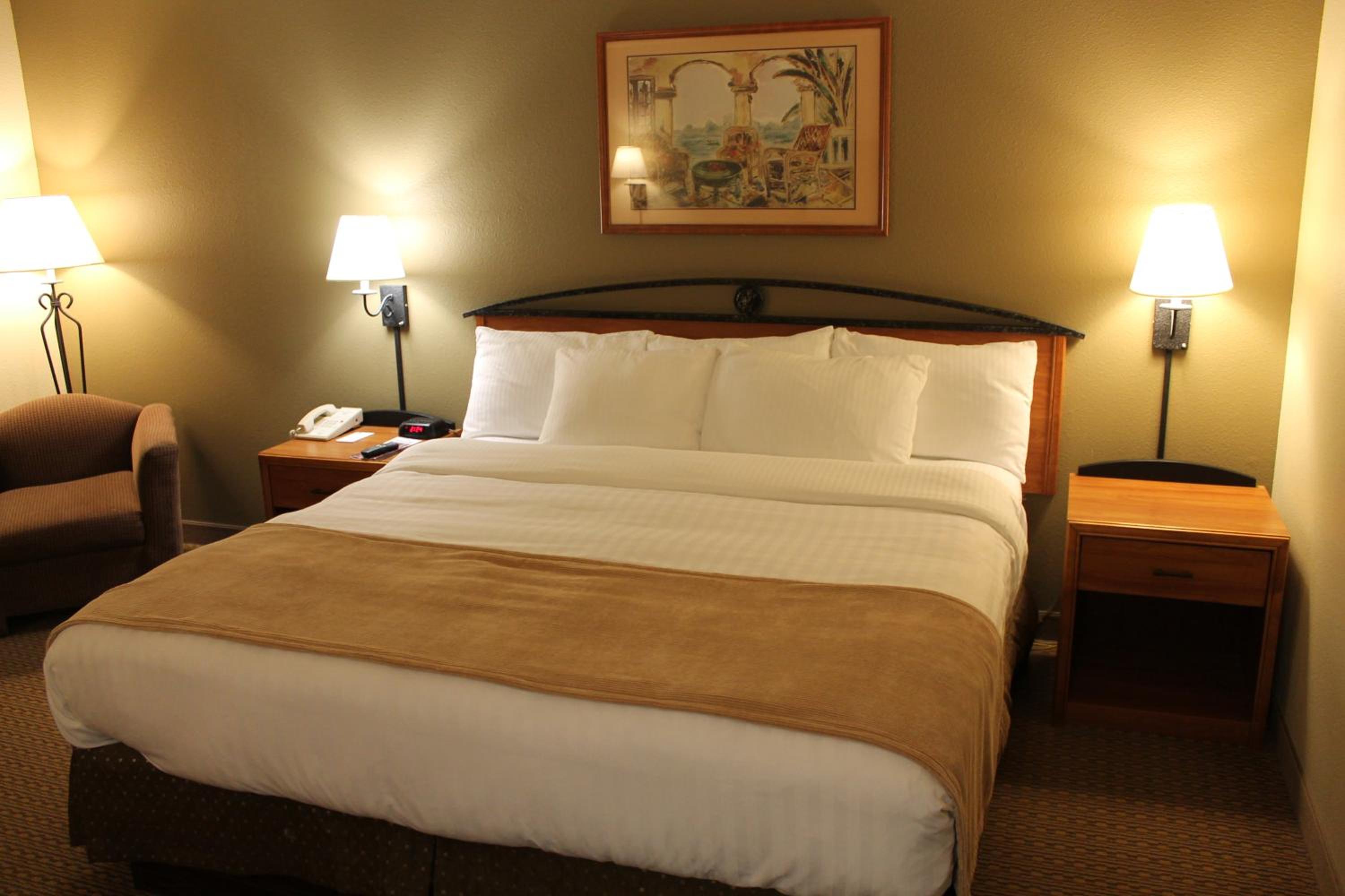 King Room - Non-Smoking - Photo 4