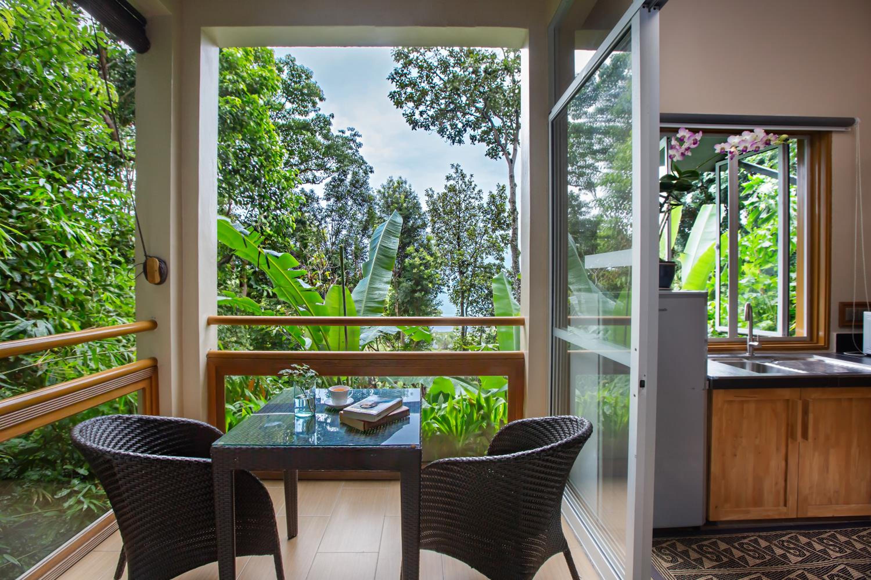 Rainforest Studio photo 3