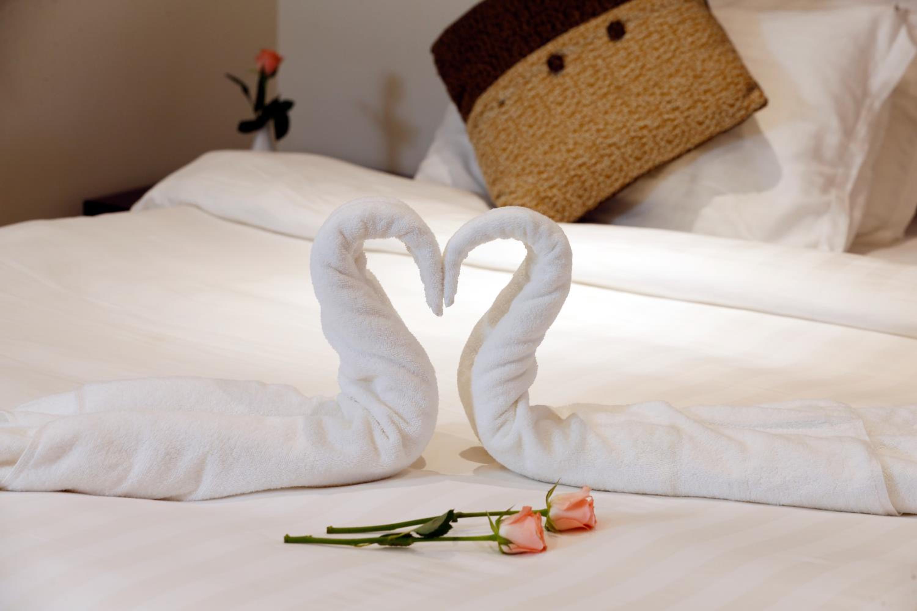 Suite - Photo 7