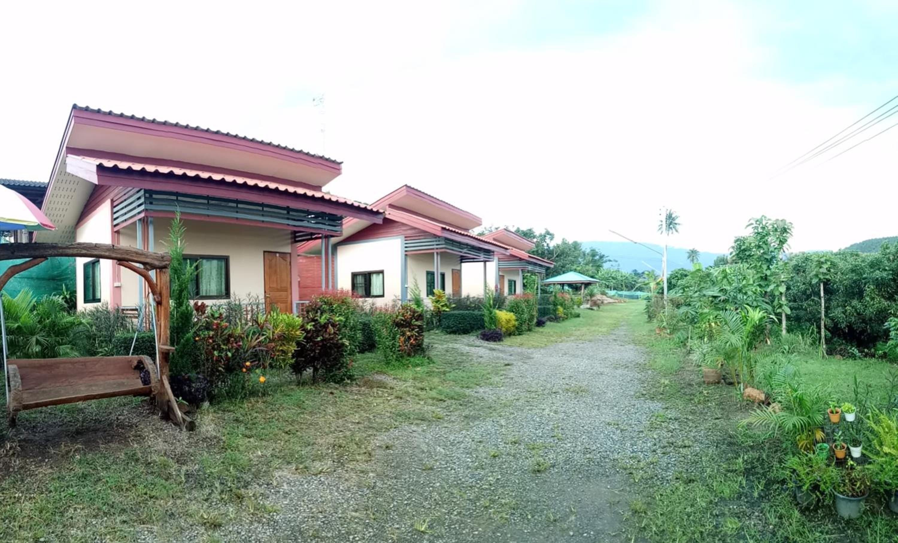 King Room with Mountain View photo 2