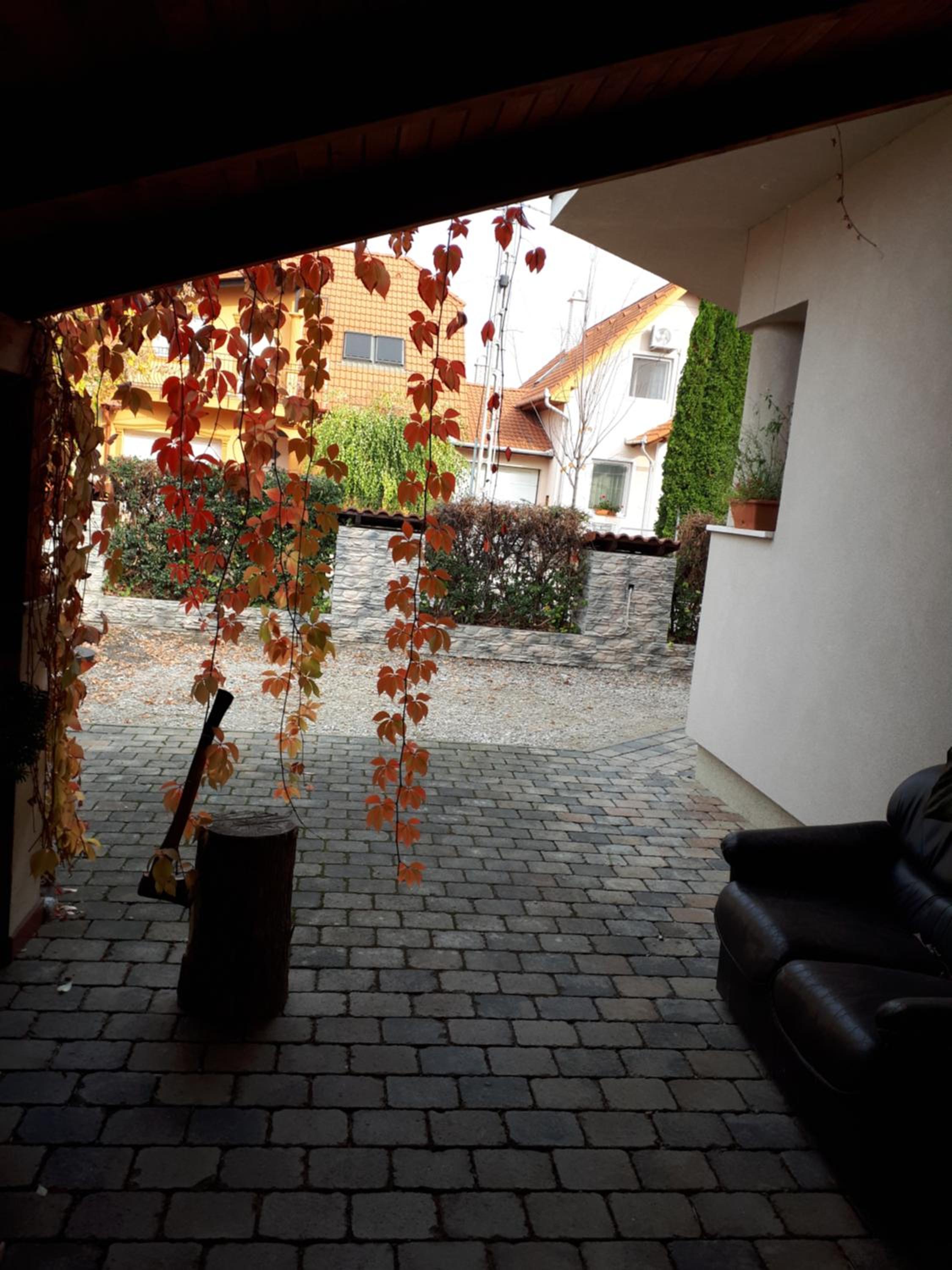 Apartment with Terrace photo 3
