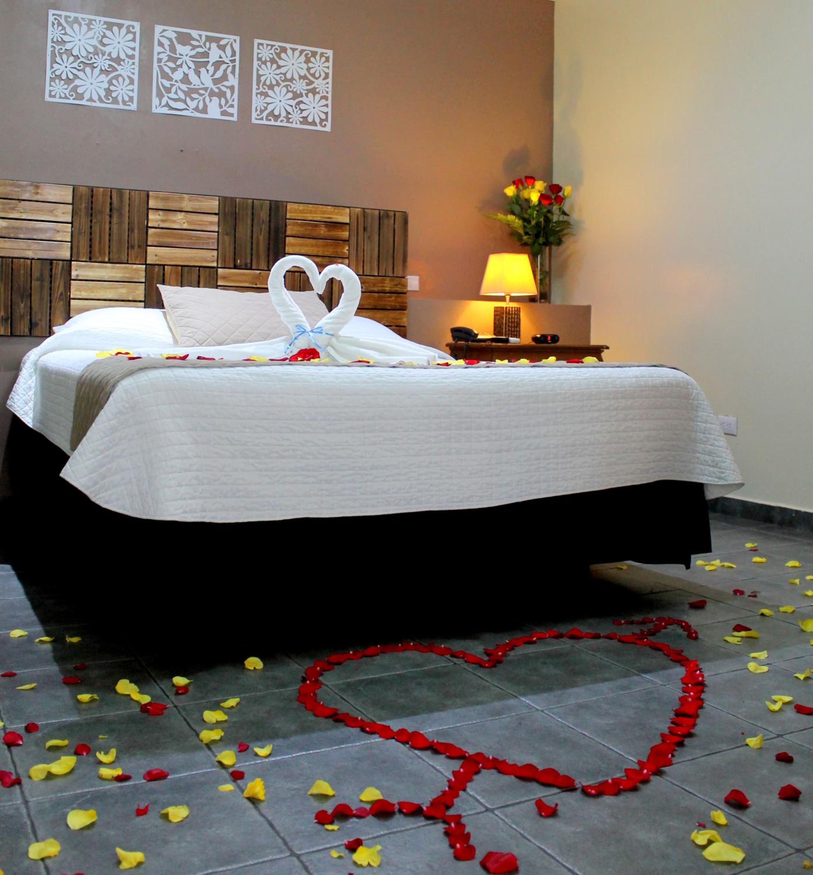 Double or Twin Room photo 2