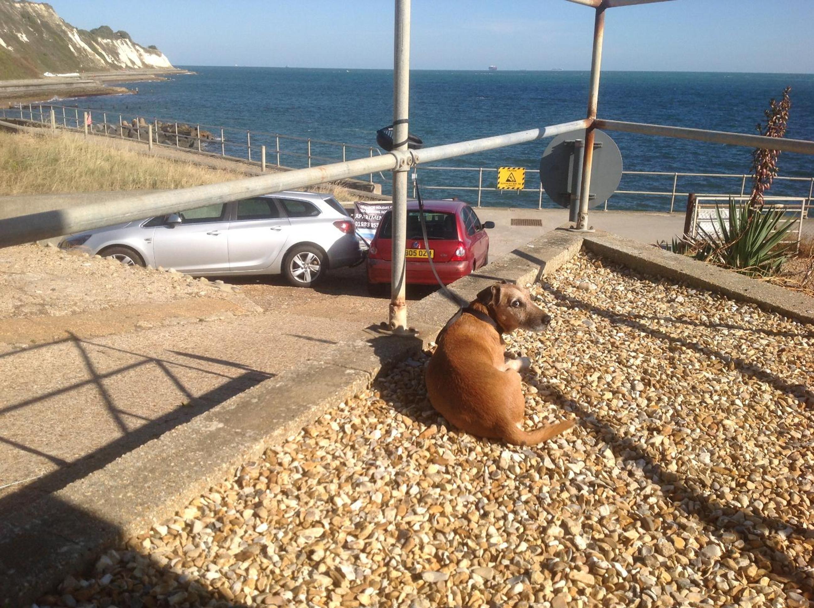 Holiday Home photo 2