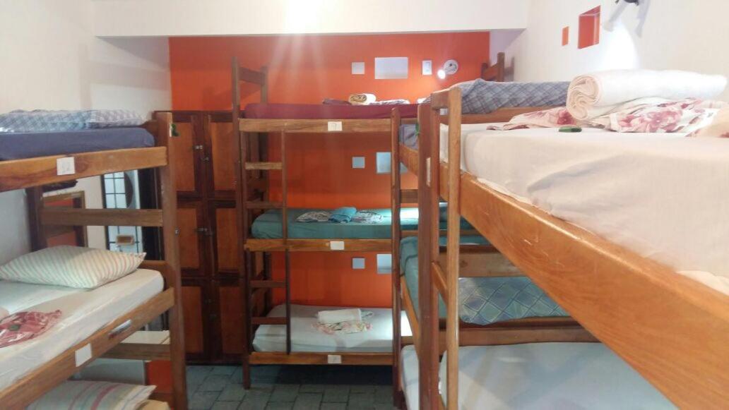 Single Bed in Mixed Dormitory Room