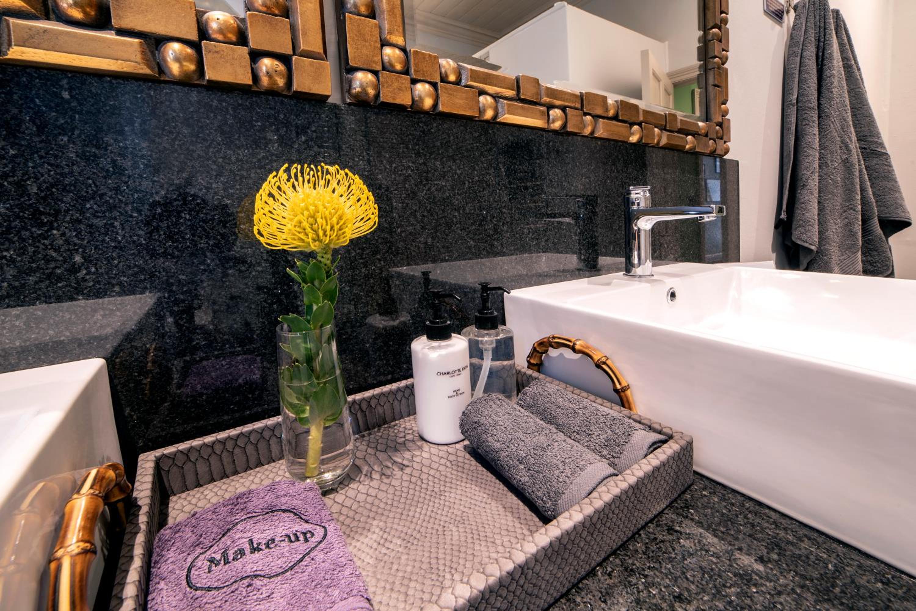 Luxury Suite - Photo 6