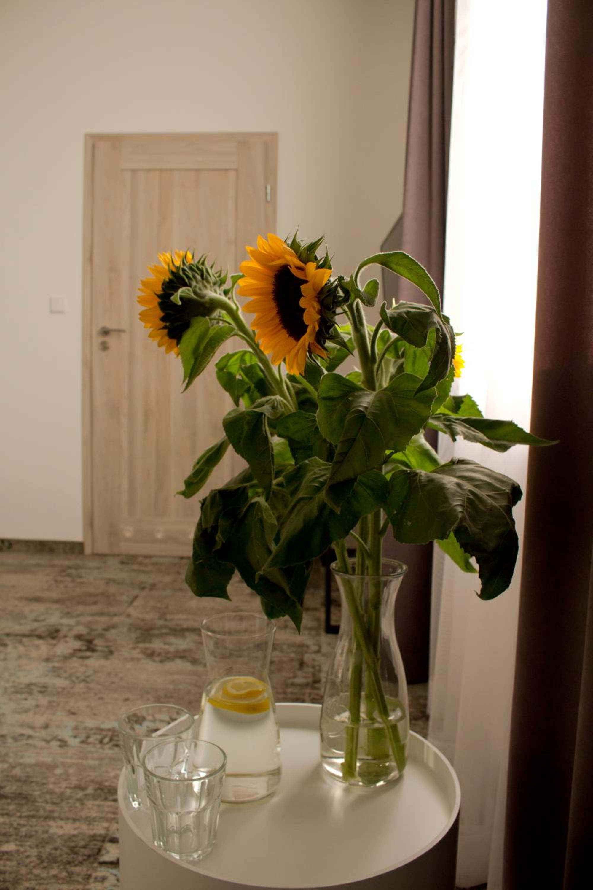 Large Double or Twin Room with Bathroom - Photo 28