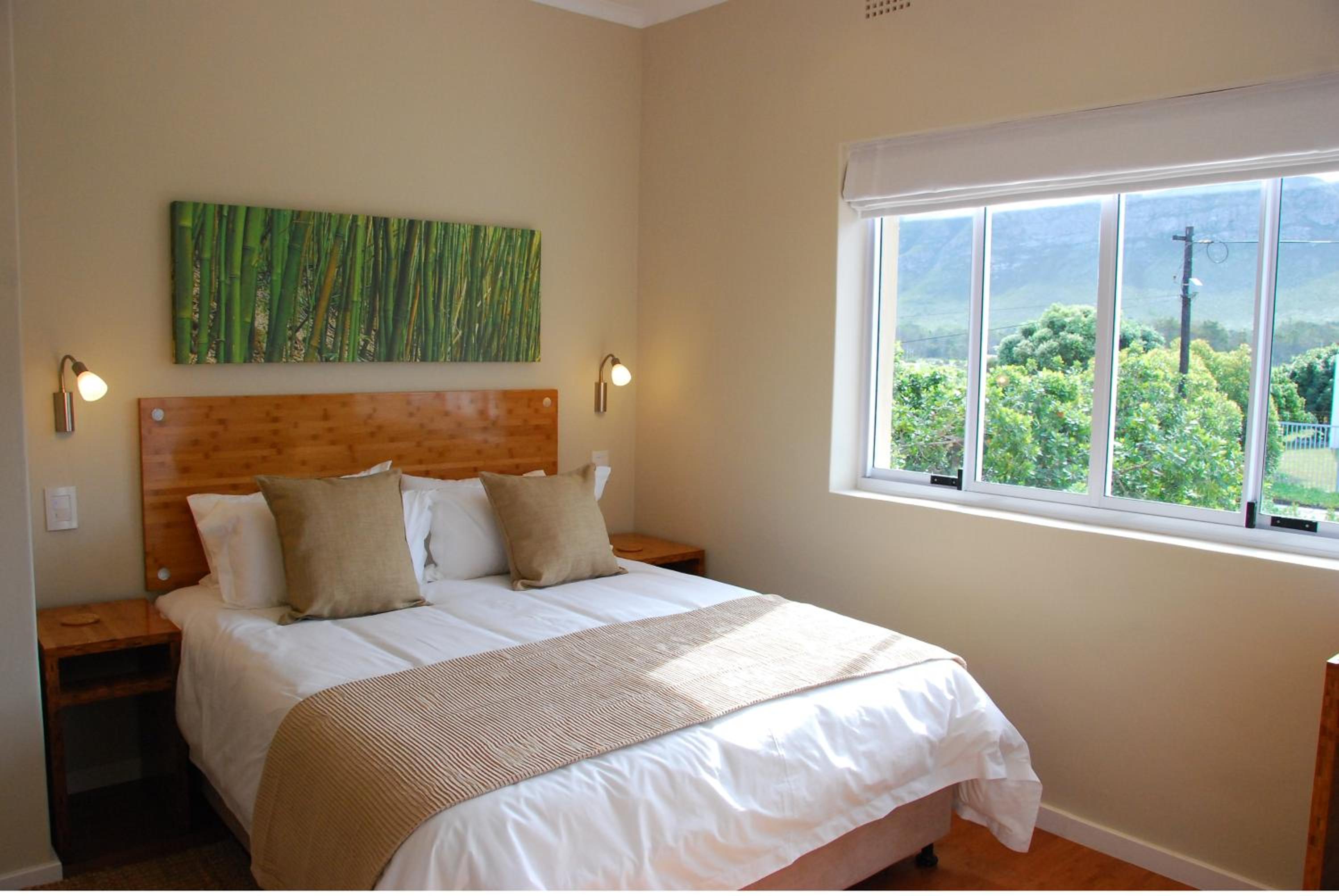  Double Room - Photo 7