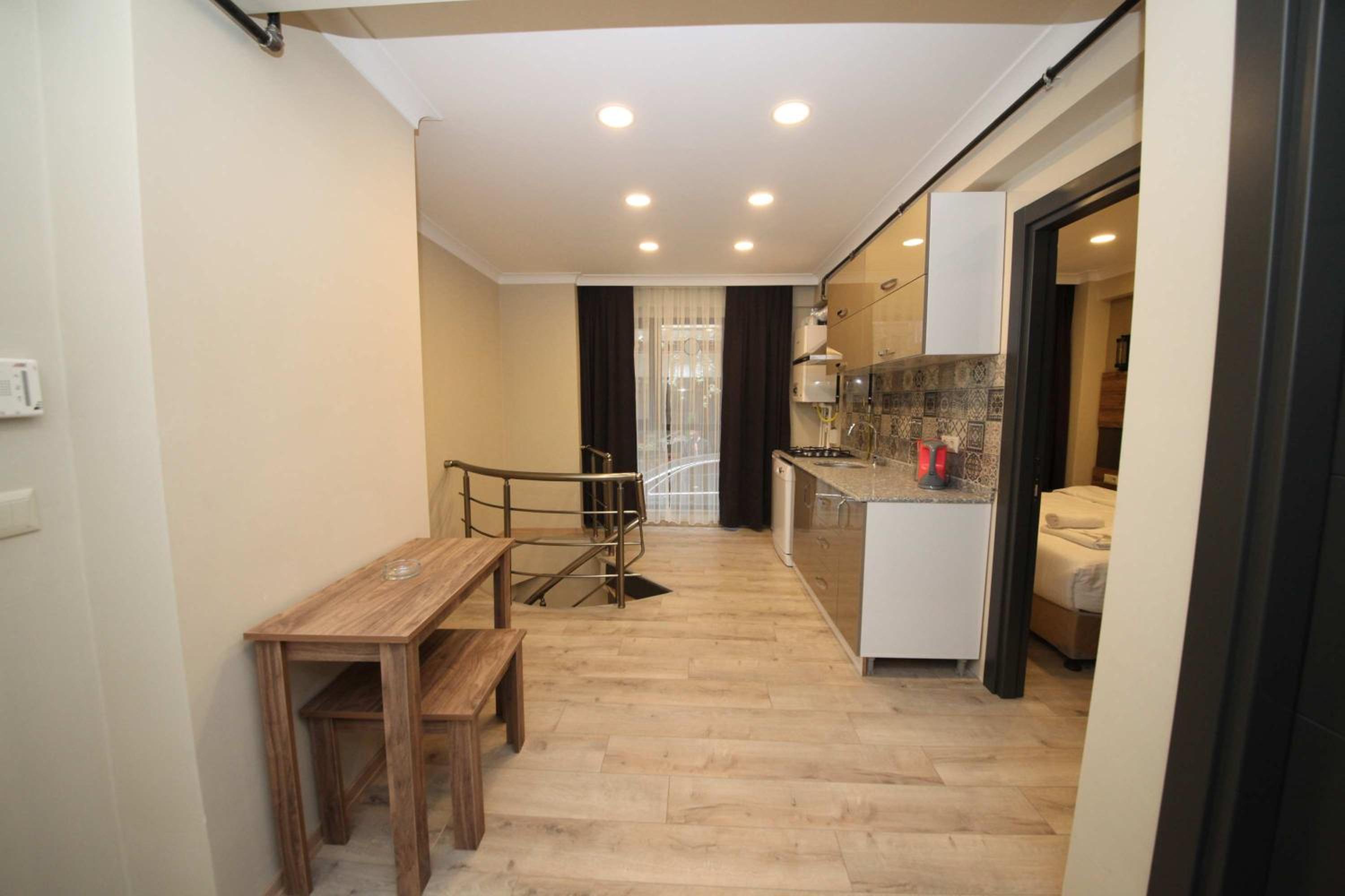Duplex Apartment photo 3