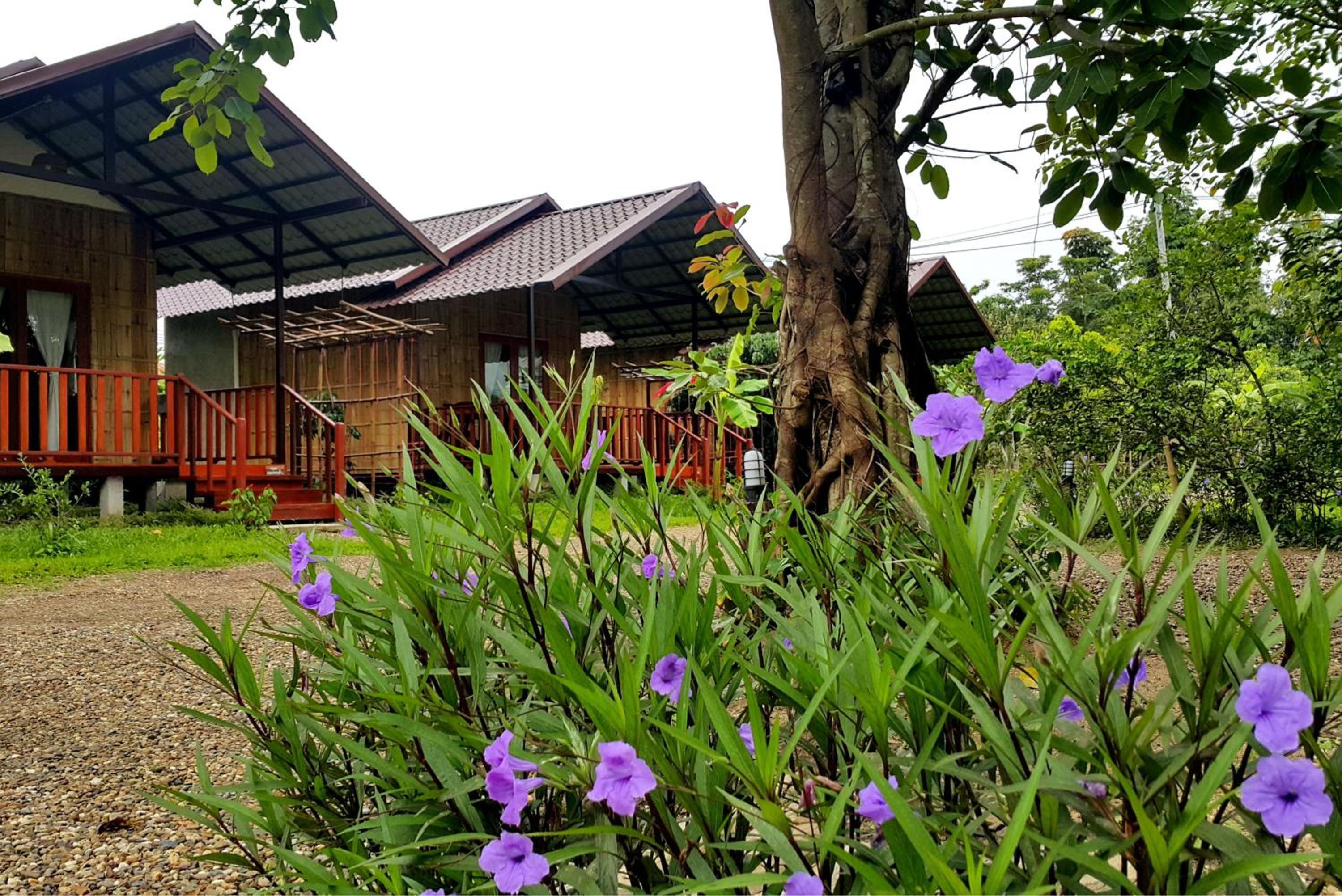 Twin Room with Garden View - Photo 2
