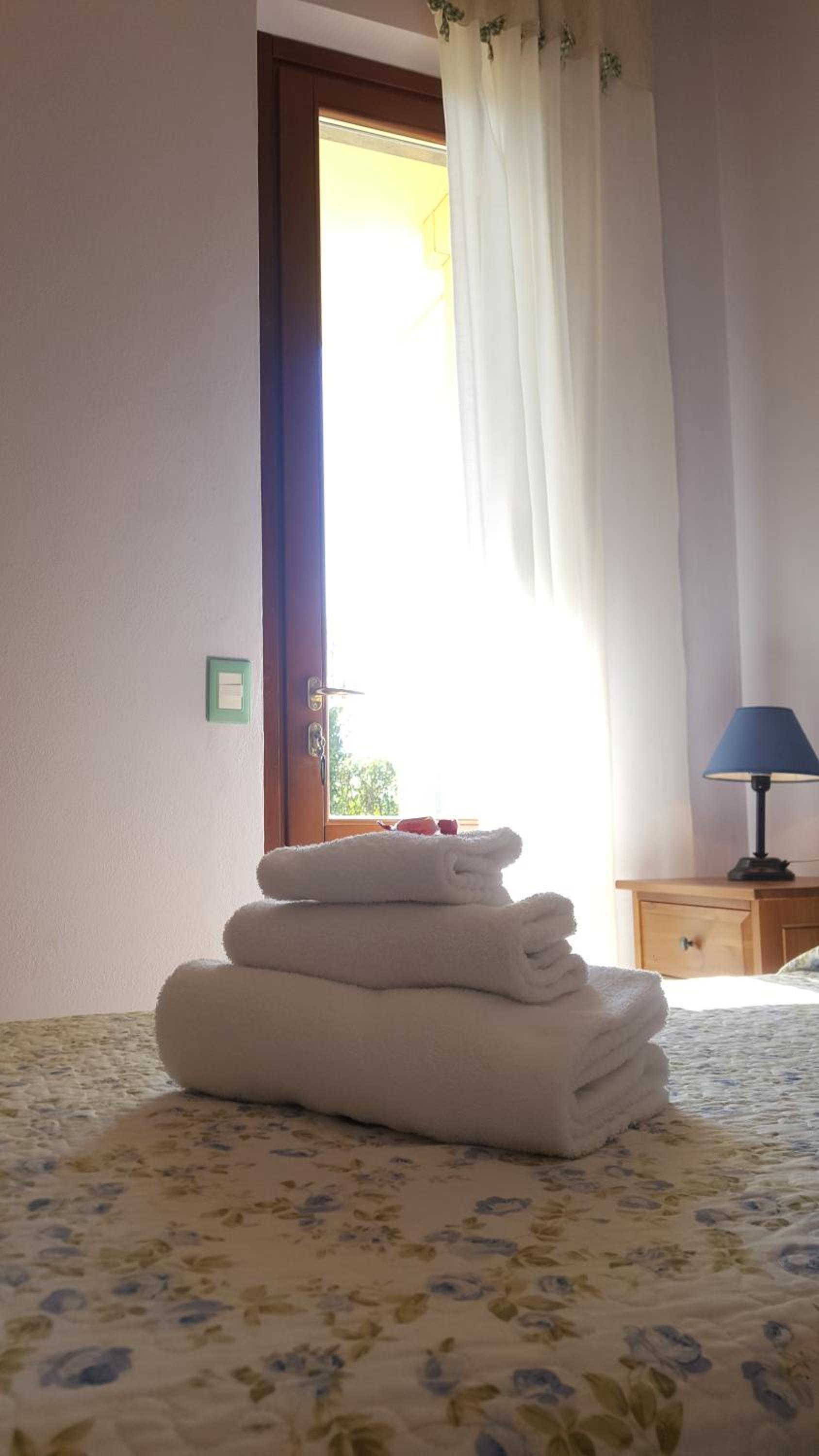 Single Room photo 2