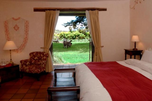 Superior Double Room photo 1