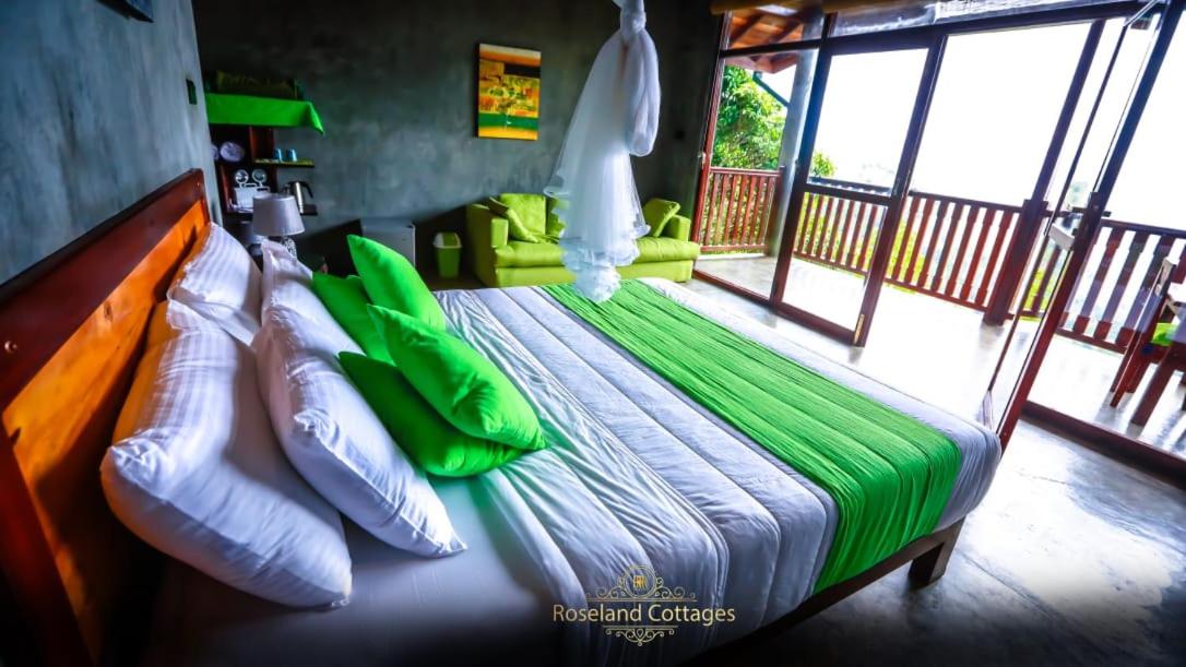 Deluxe Triple Room photo 1