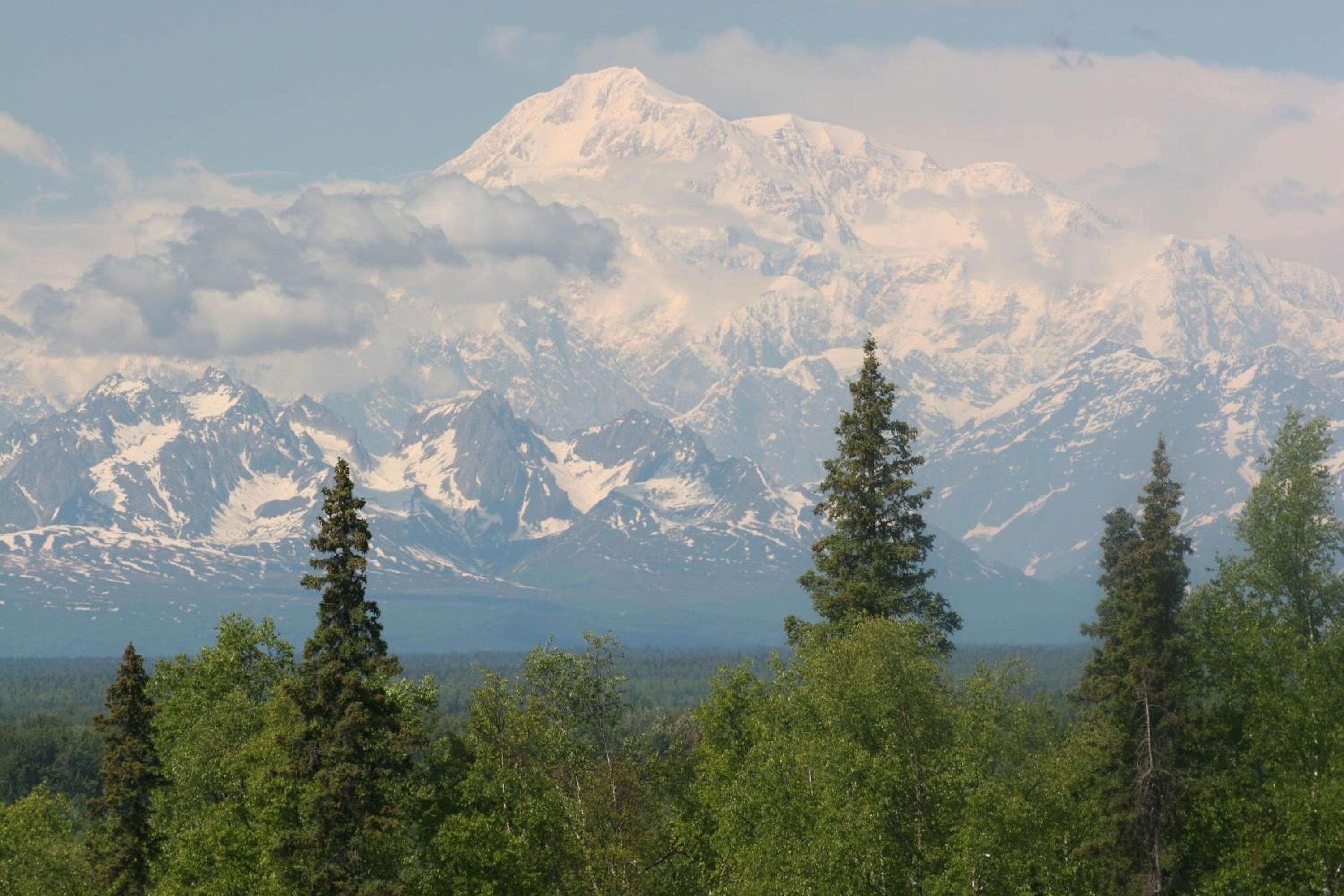 King Room with Mountain View photo 3