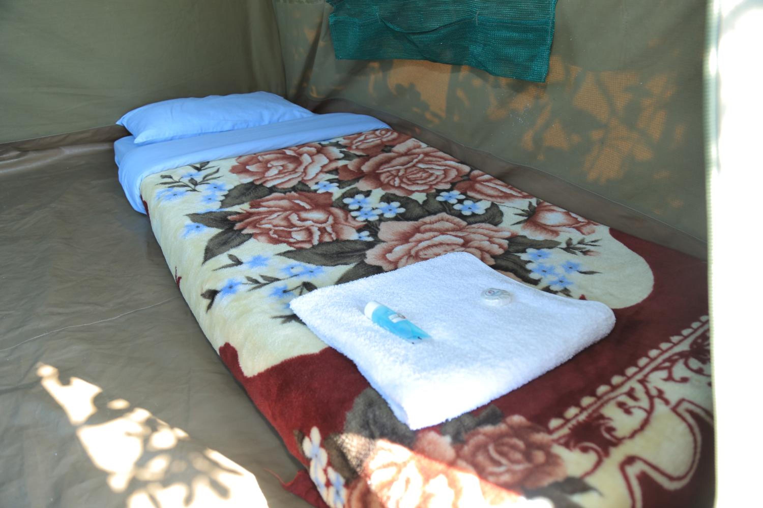 Tent photo 3