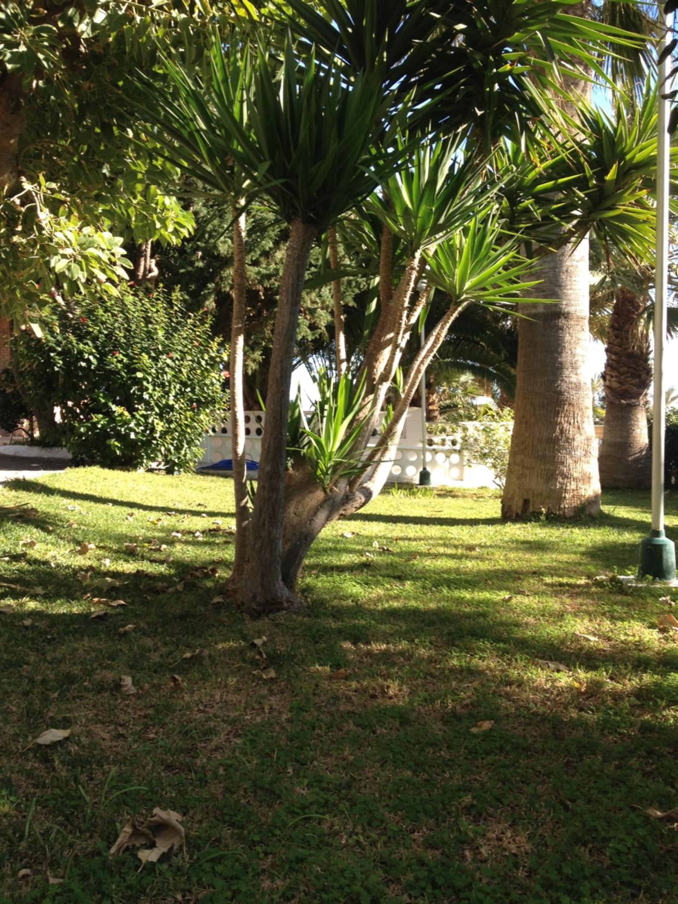 Apartment with Sea View - Photo 25