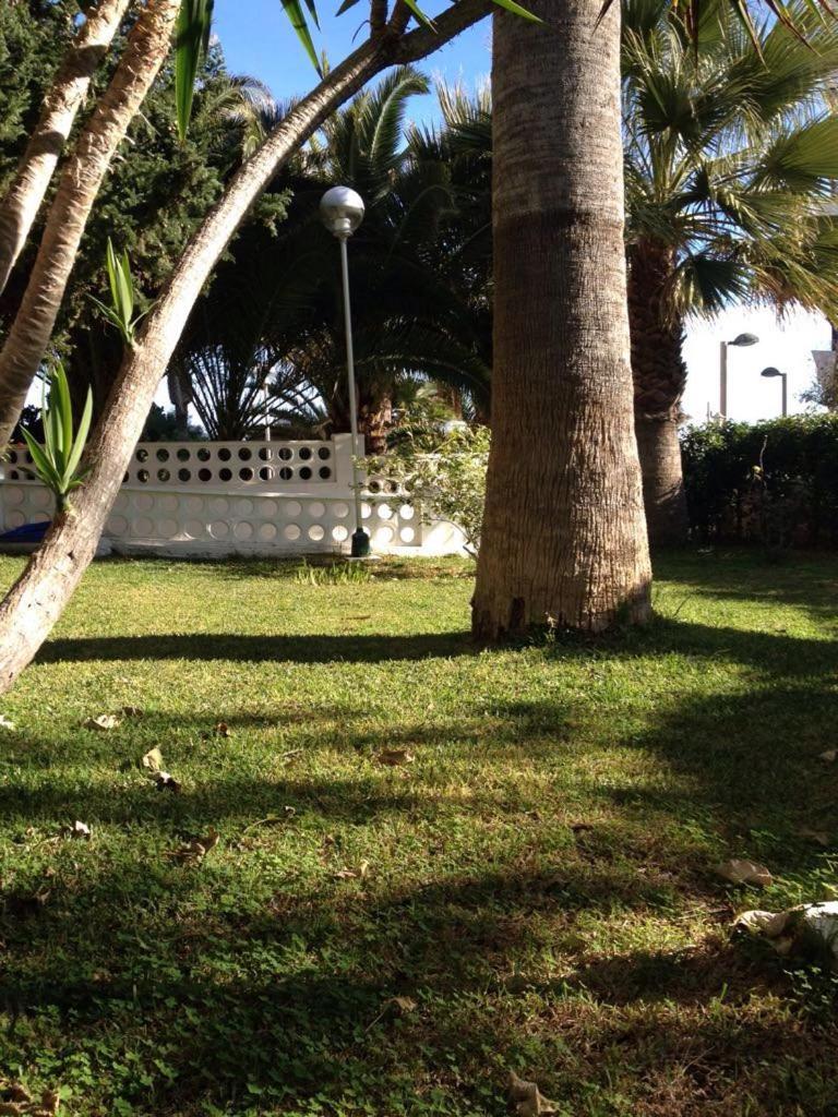 Apartment with Sea View - Photo 5